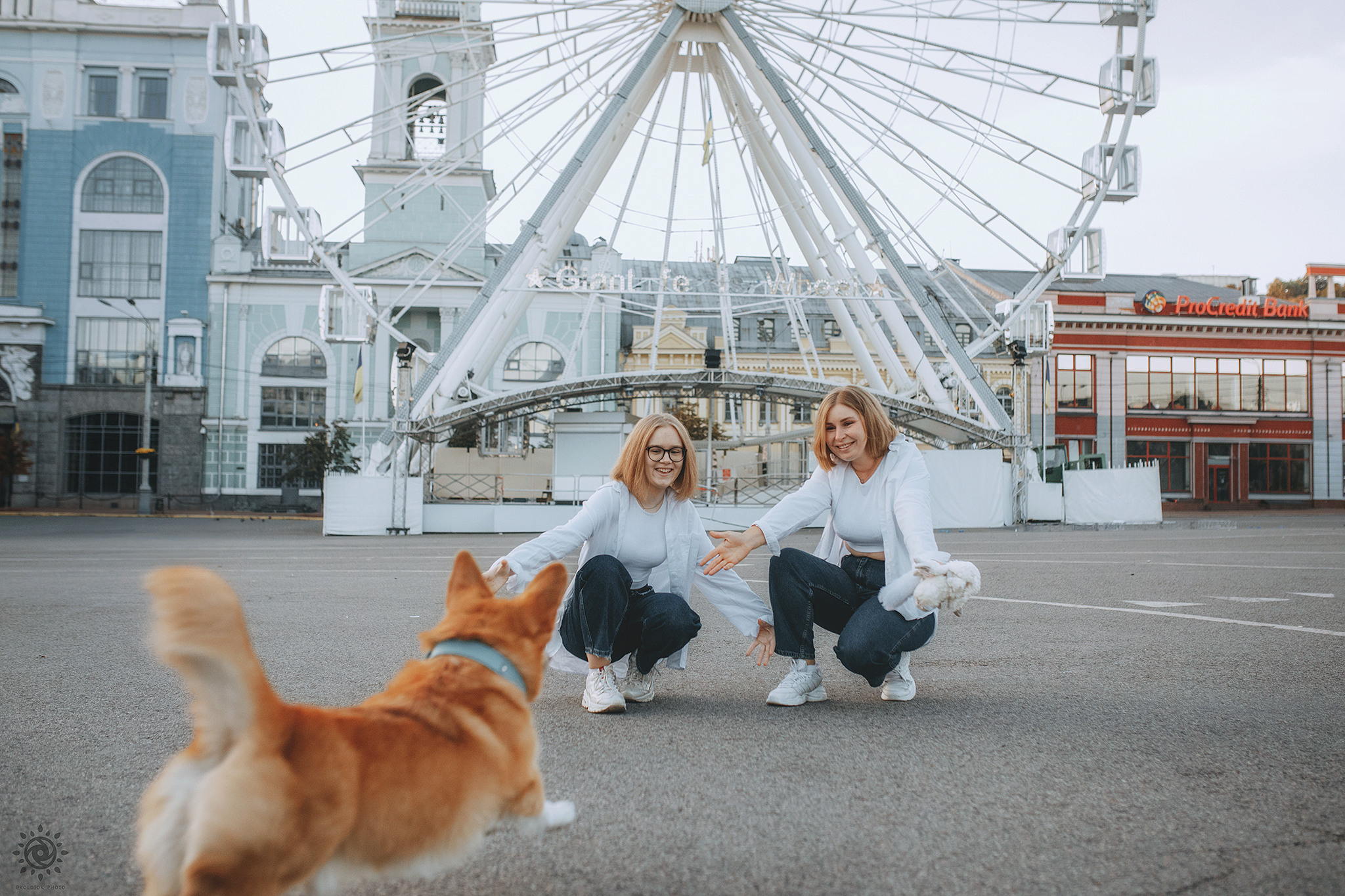 Родина Шерлока. Фотограф-анімаліст Київ