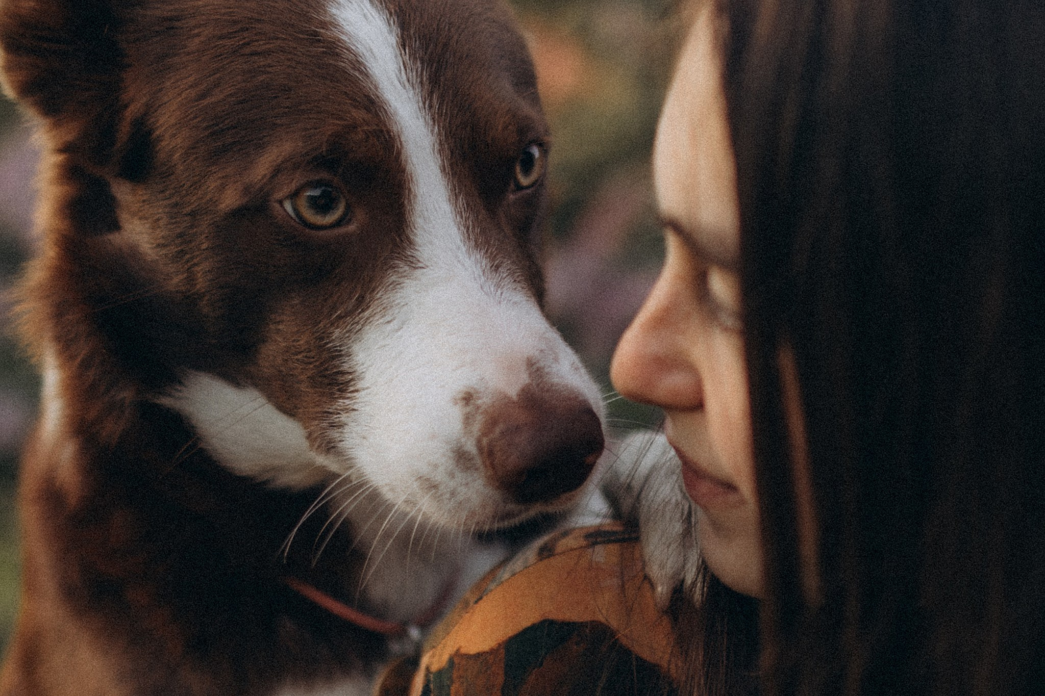 Лінч з Ма. Фотограф-анімаліст Київ