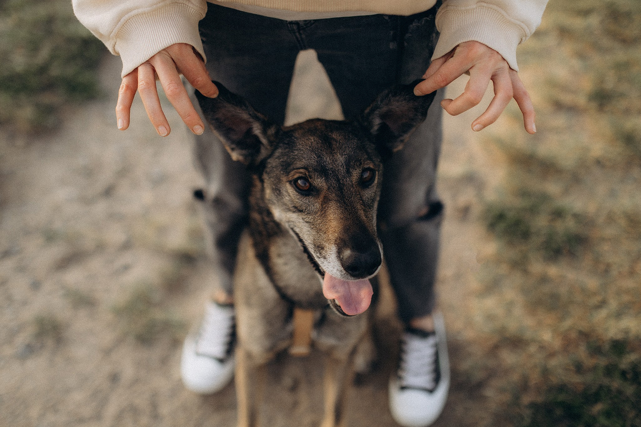 Фінік та Еля. Фотограф-анімаліст Київ