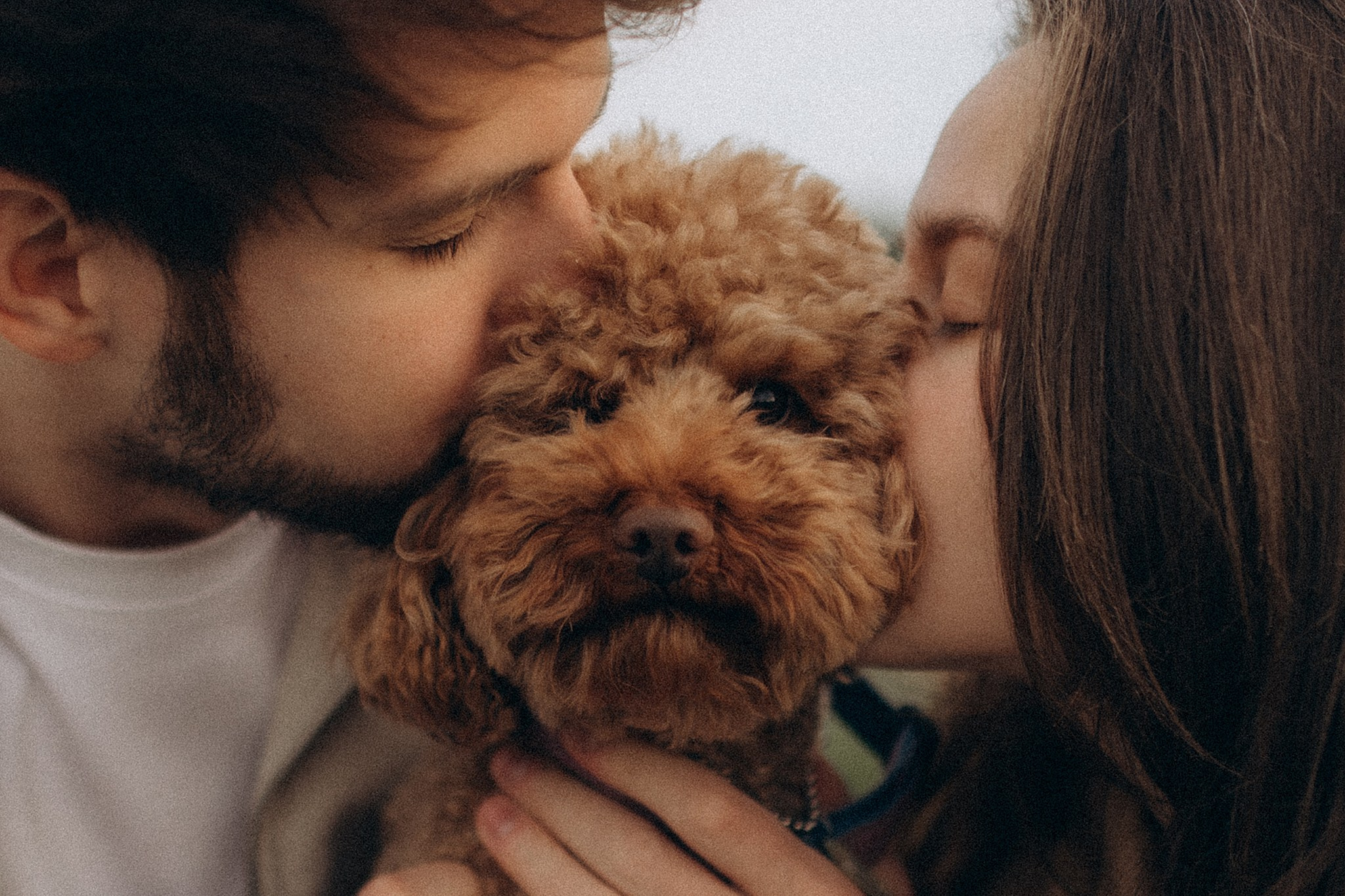 Родина Бруно. Фотограф-анімаліст Київ