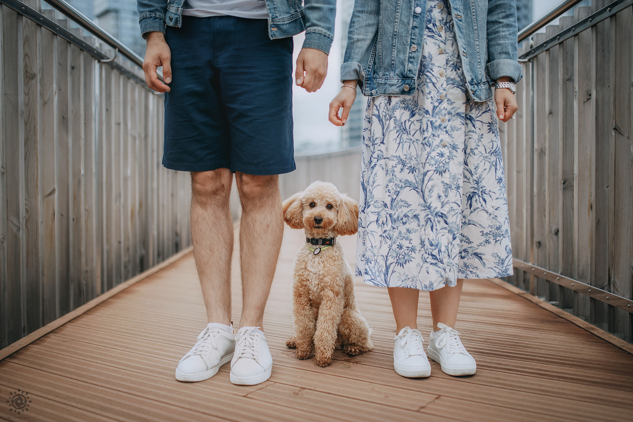 Родина Фініка. Фотограф-анімаліст Київ