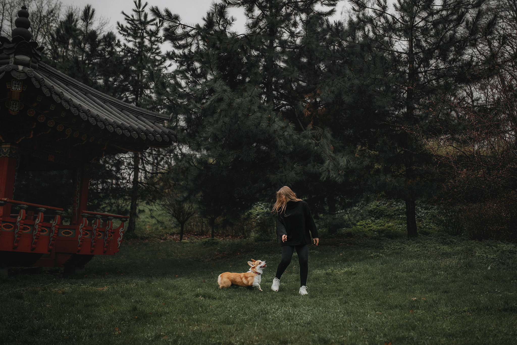 Родина Оскара. Фотограф-анімаліст Київ