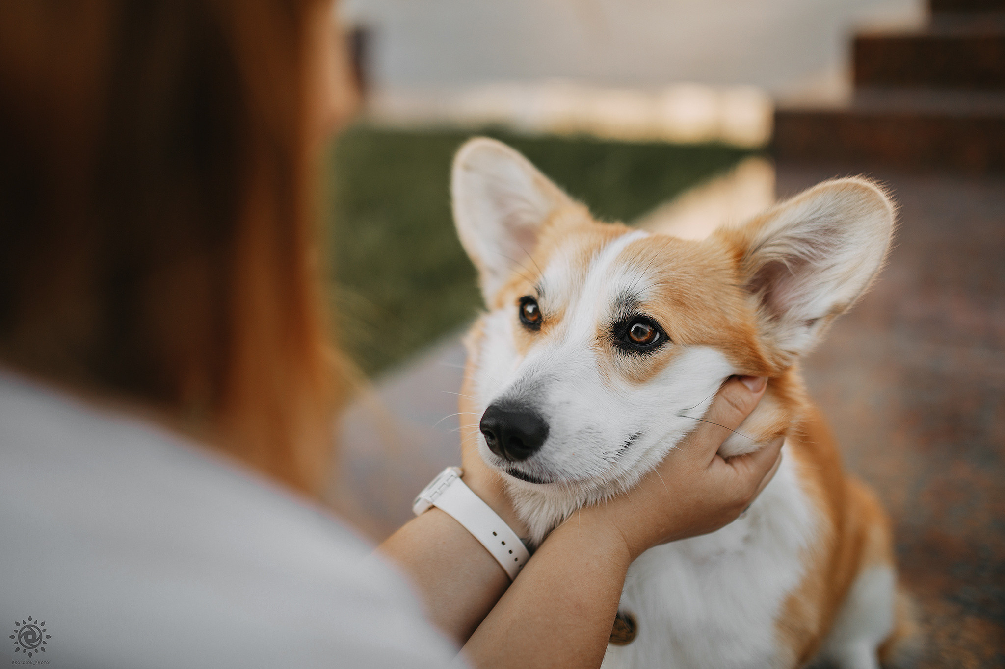 Родина Карамель. Фотограф-анімаліст Київ