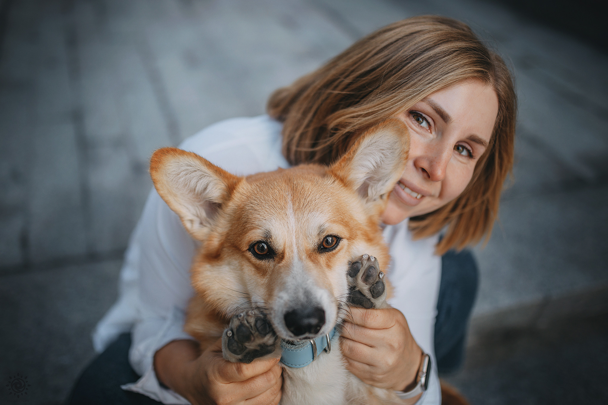 Родина Шерлока. Фотограф-анімаліст Київ