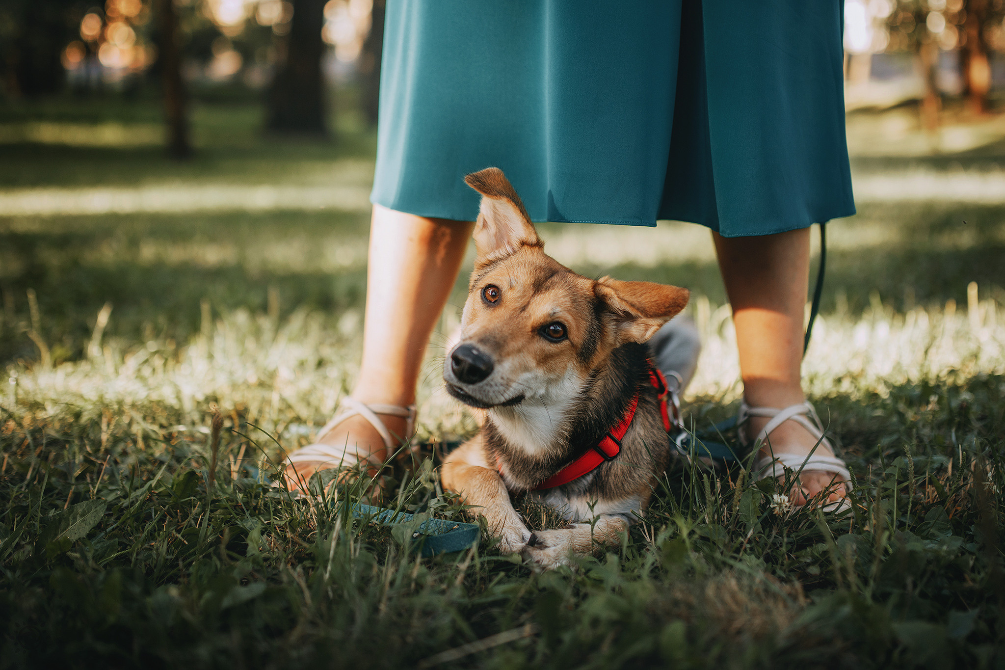 Родина Щастя. Фотограф-анімаліст Київ