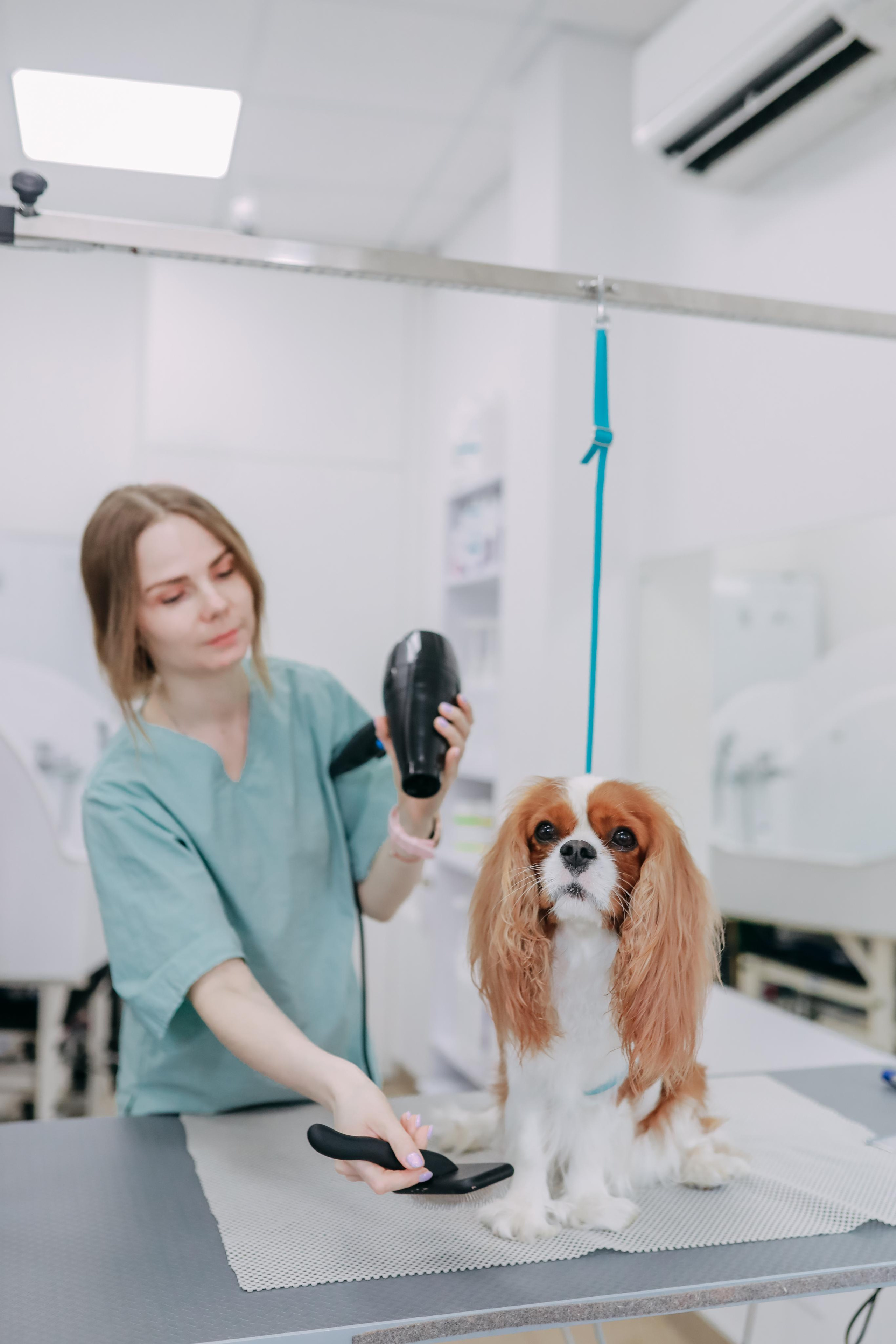 Hvist Hab. Фотограф-анімаліст Київ