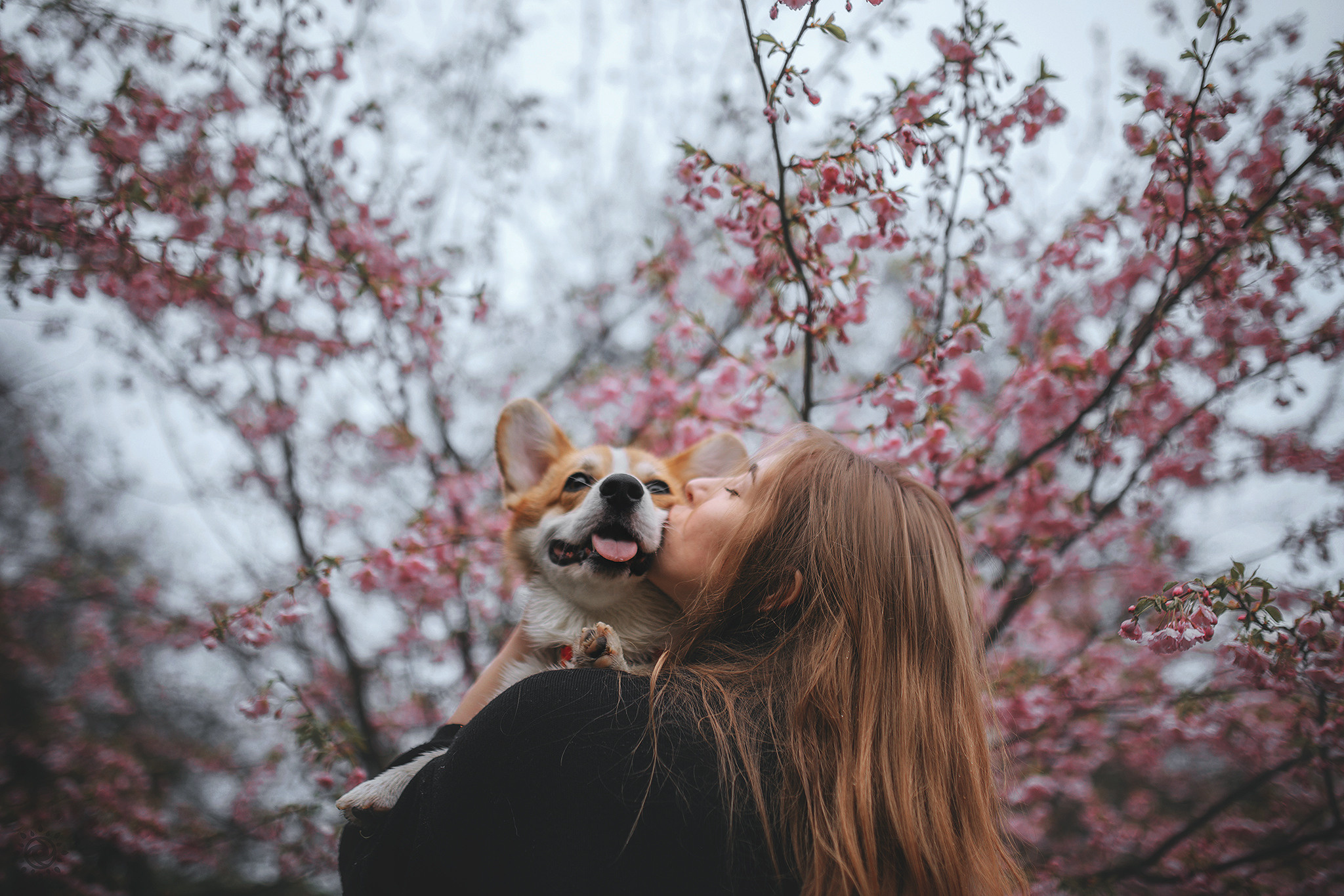 Родина Оскара. Фотограф-анімаліст Київ