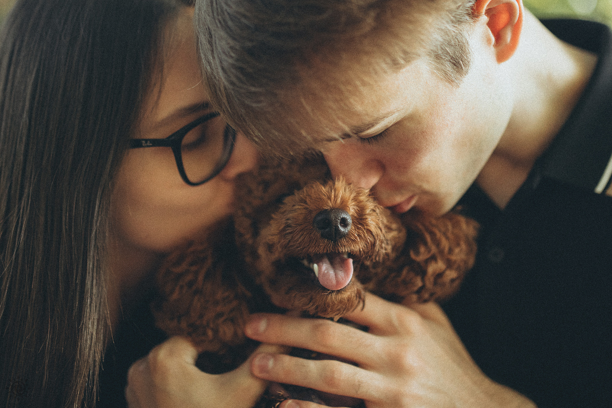 Родина Дейзі. Фотограф-анімаліст Київ