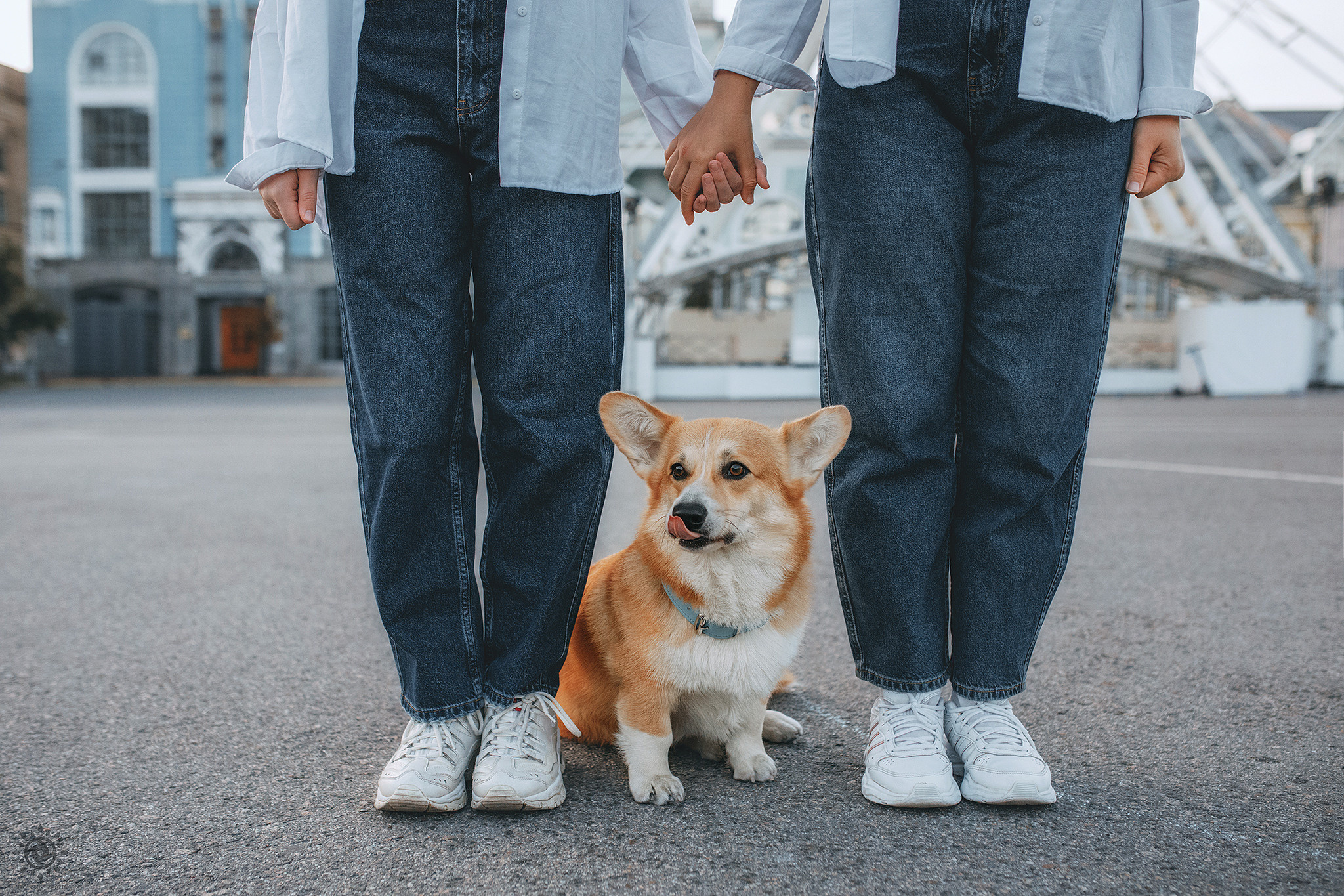 Родина Шерлока. Фотограф-анімаліст Київ
