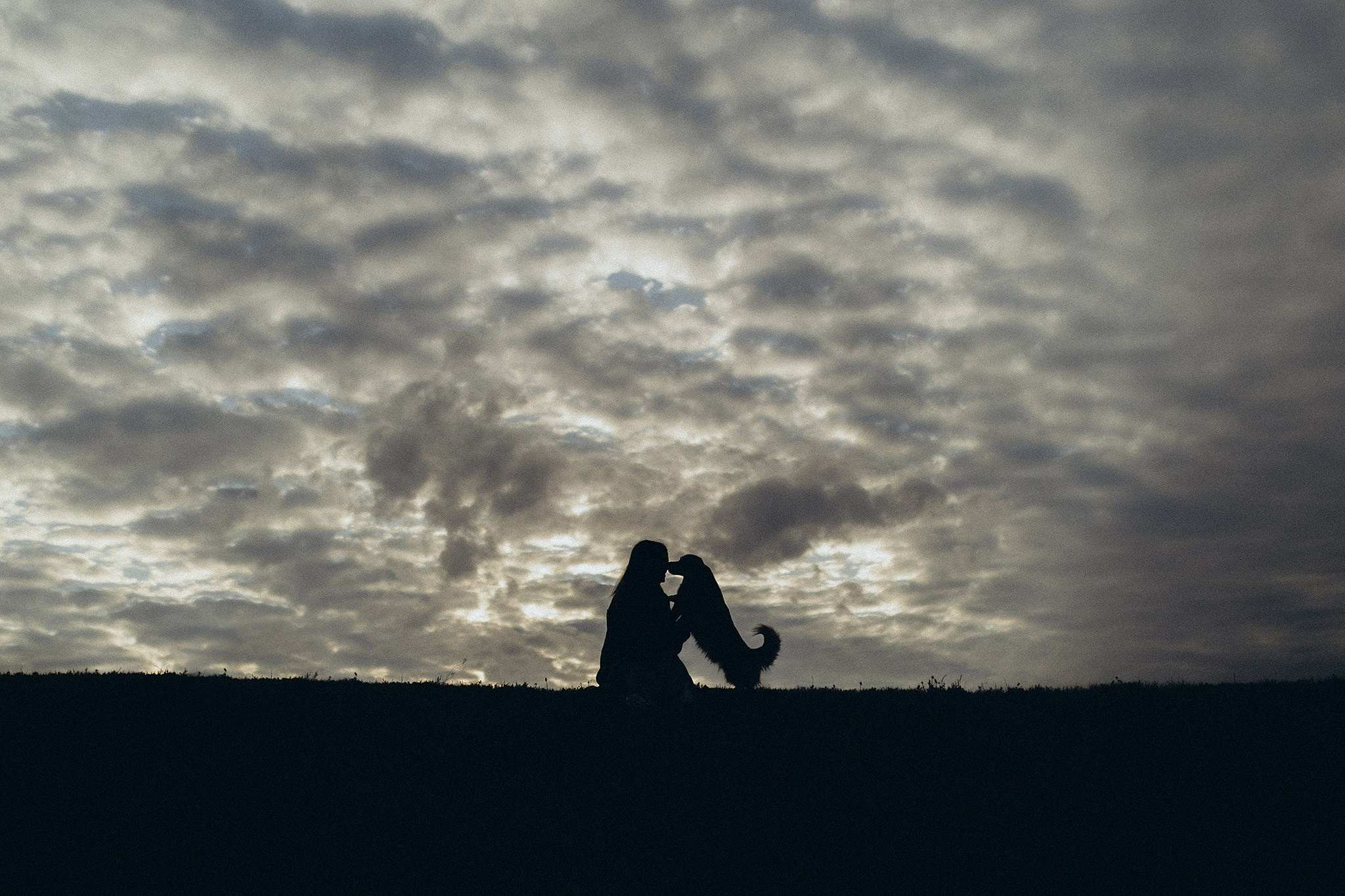 Руді та Ксюша. Фотограф-анімаліст Київ