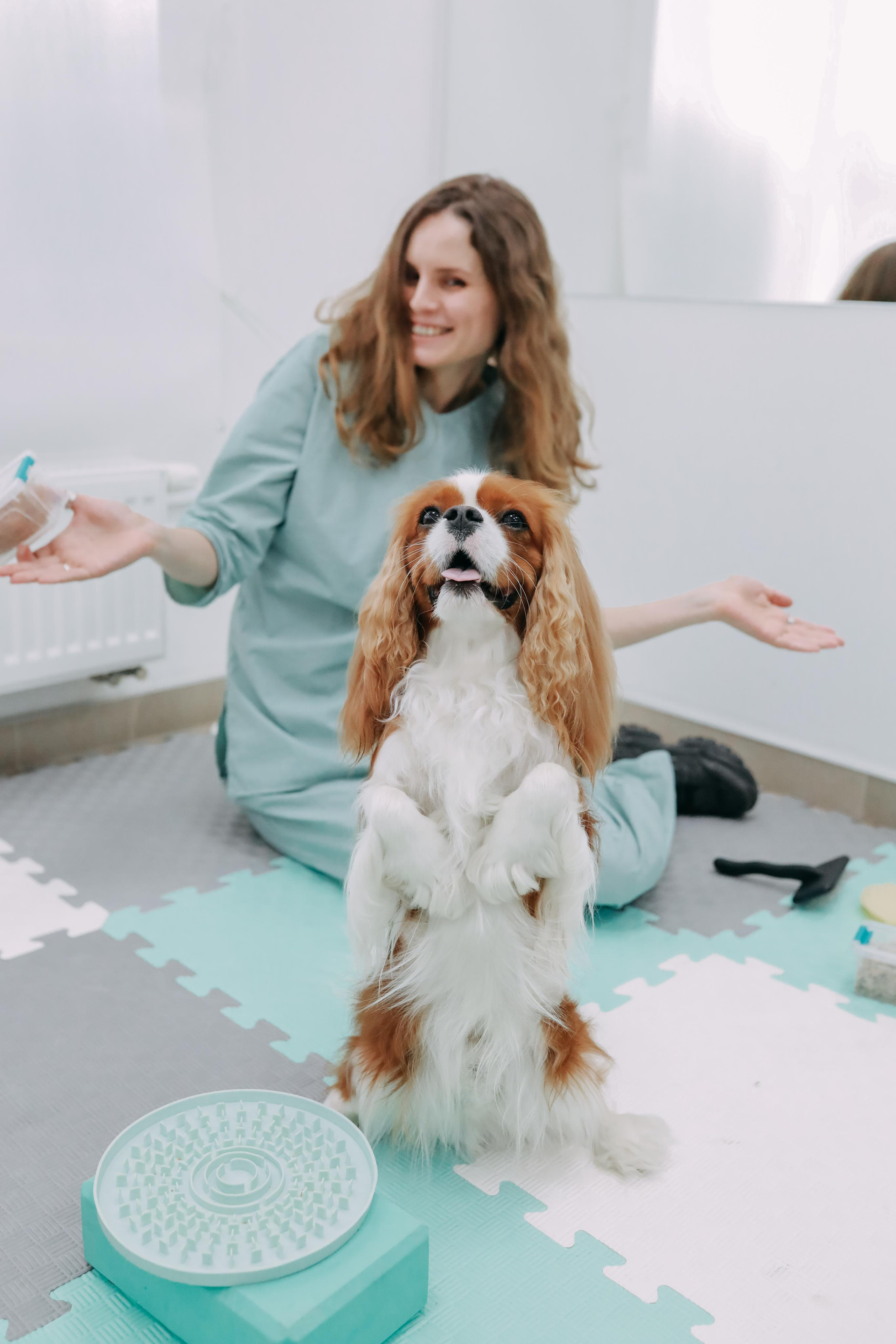 Hvist Hab. Фотограф-анімаліст Київ