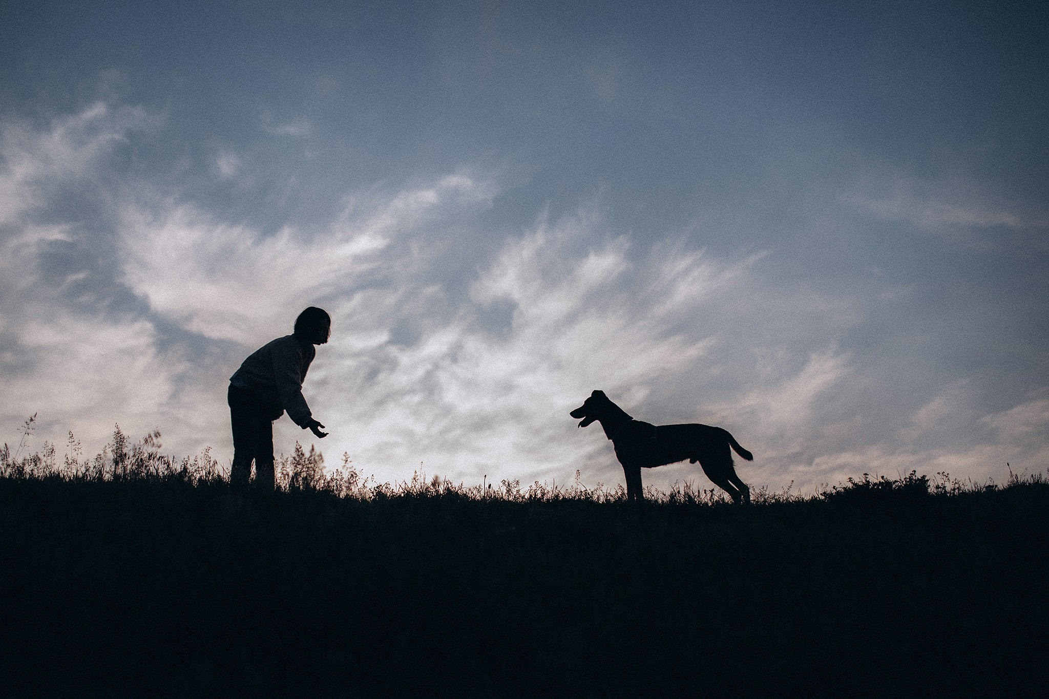 Фінік та Еля. Фотограф-анімаліст Київ
