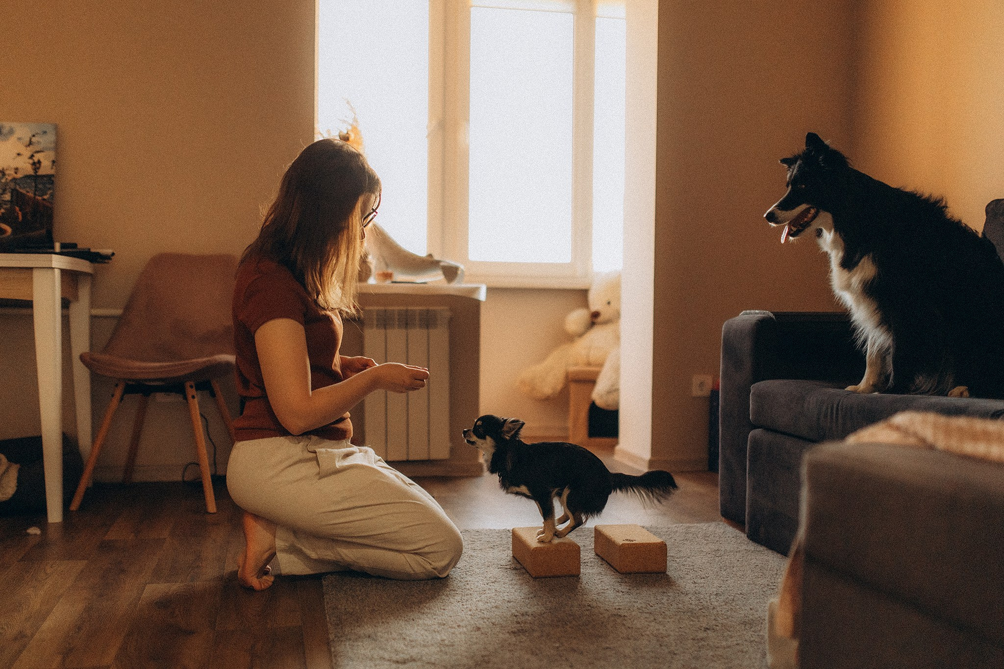 Теса і Кімі з Ма. Фотограф-анімаліст Київ