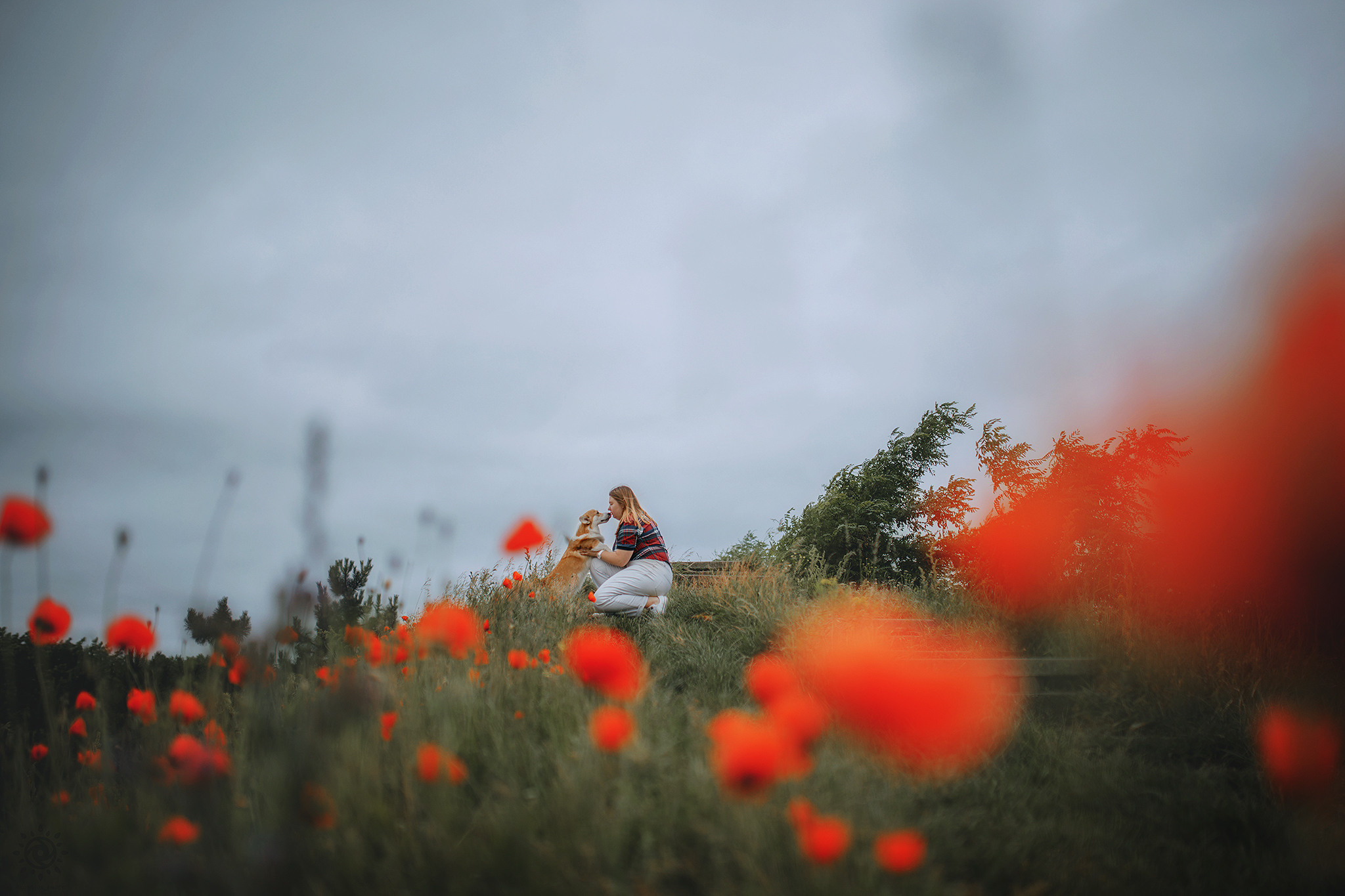 Родина Карамель. Фотограф-анімаліст Київ
