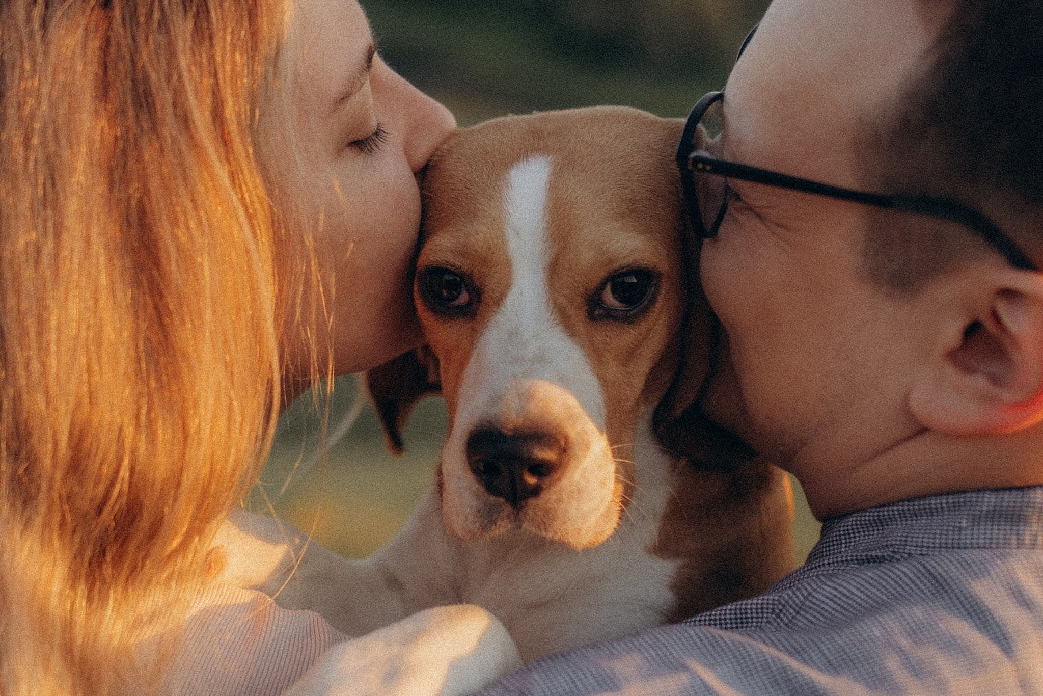 Родина Рей. Фотограф-анімаліст Київ