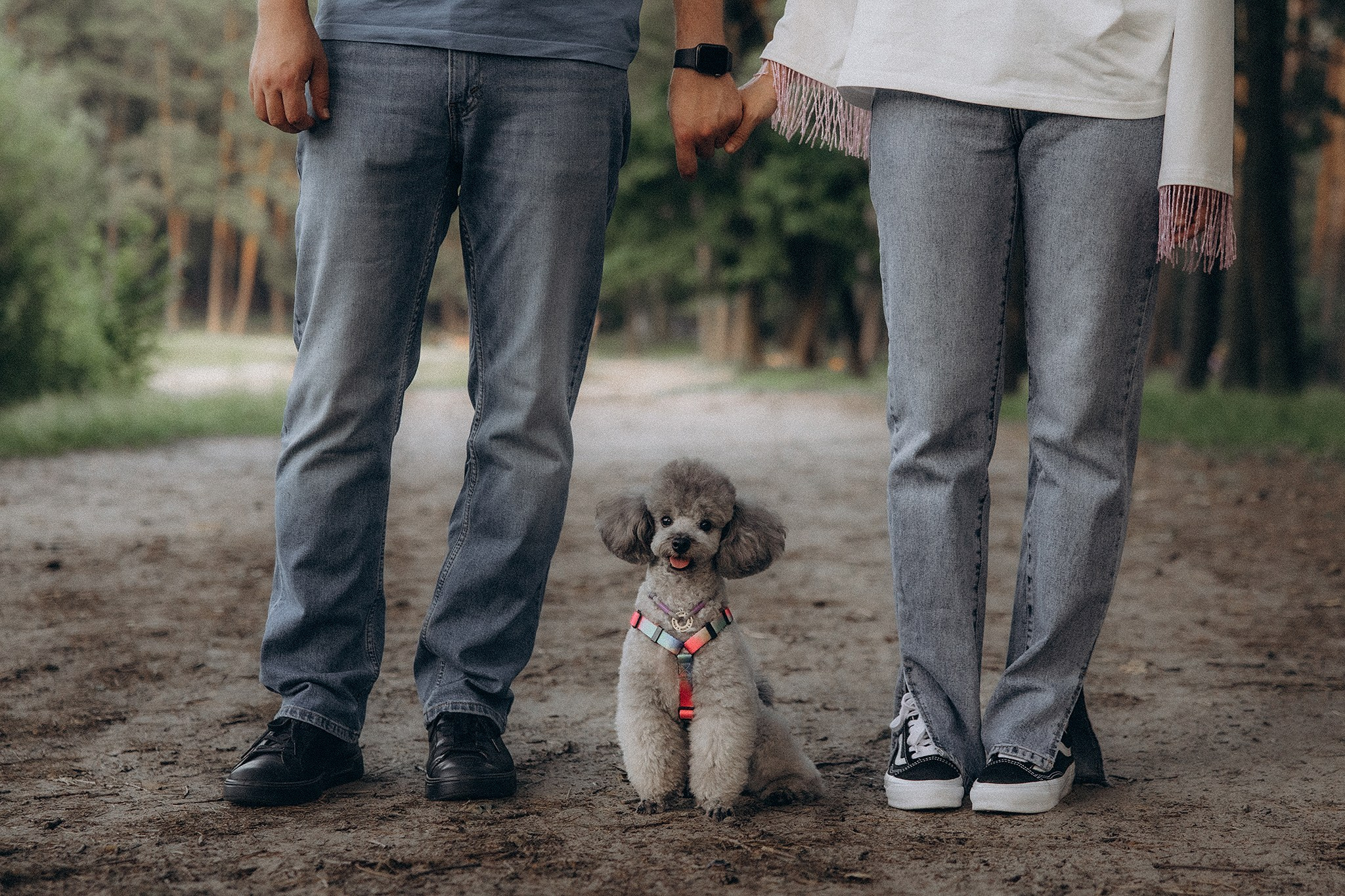 Родина Моніка. Фотограф-анімаліст Київ