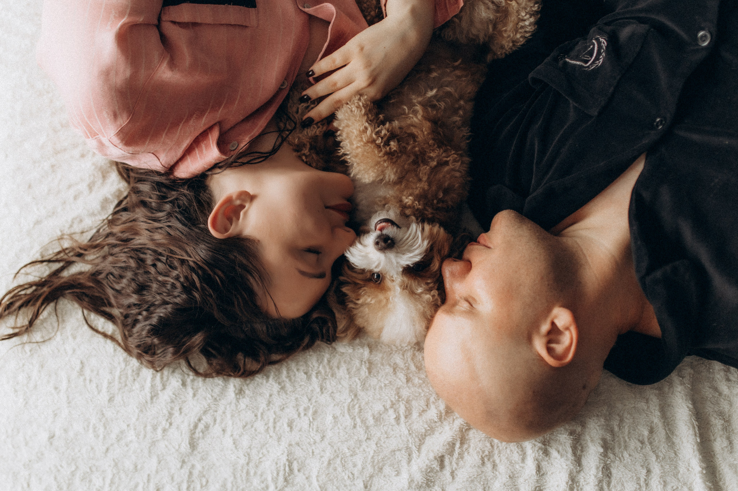 Фотограф-анімаліст Київ