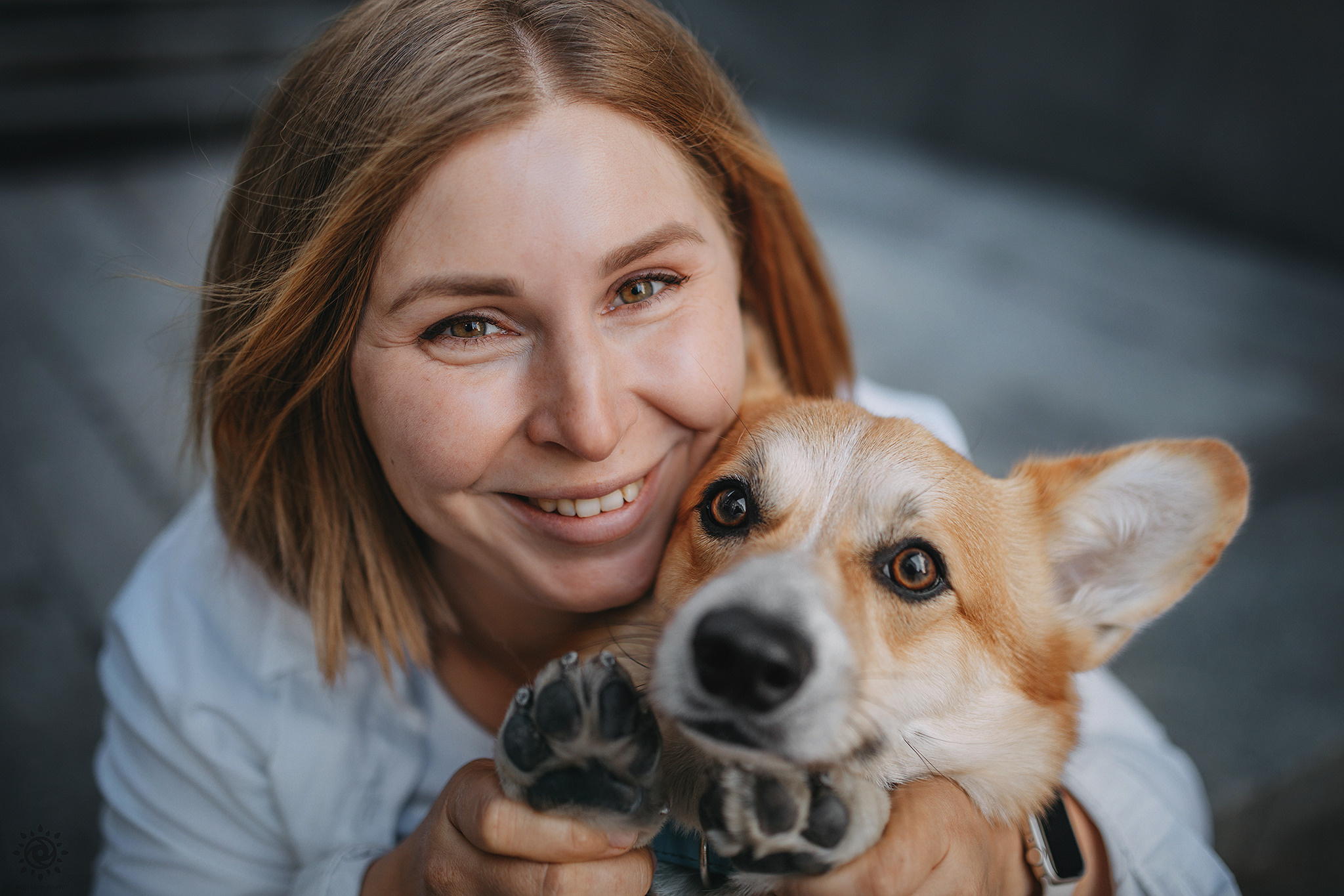 Родина Шерлока. Фотограф-анімаліст Київ