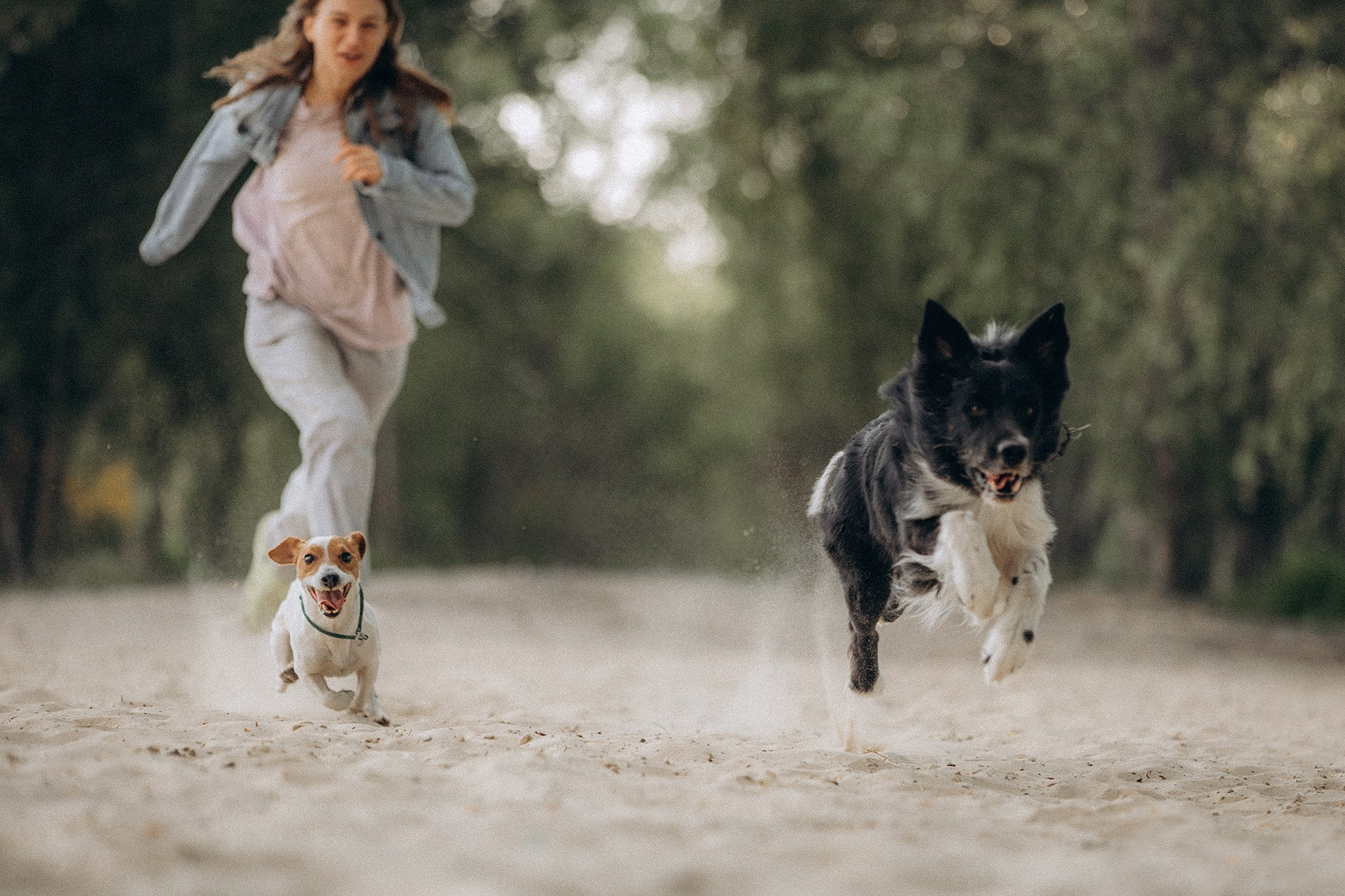 Інна та Макс з хлопцями. Фотограф-анімаліст Київ