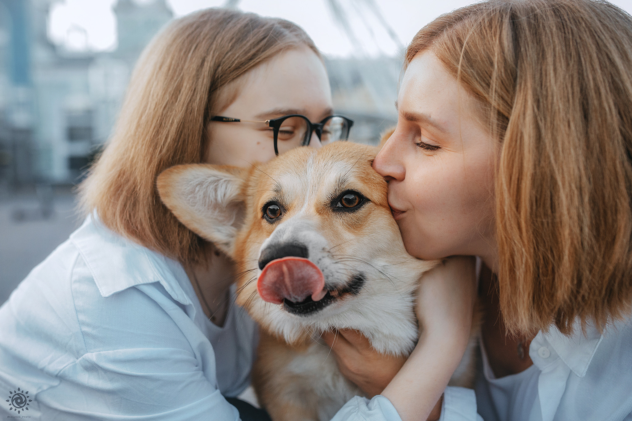 Родина Шерлока. Фотограф-анімаліст Київ