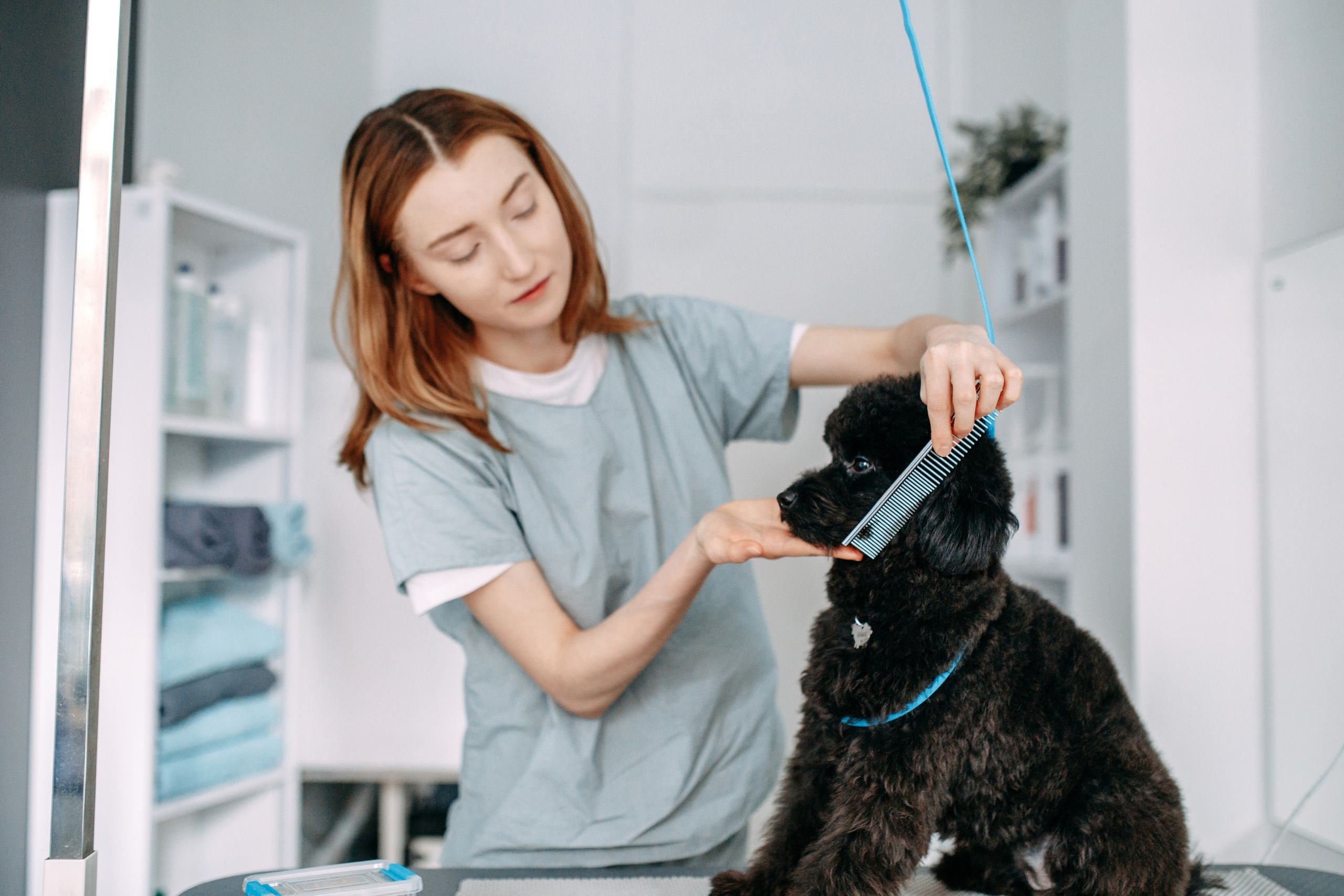 Hvist Hab. Фотограф-анімаліст Київ