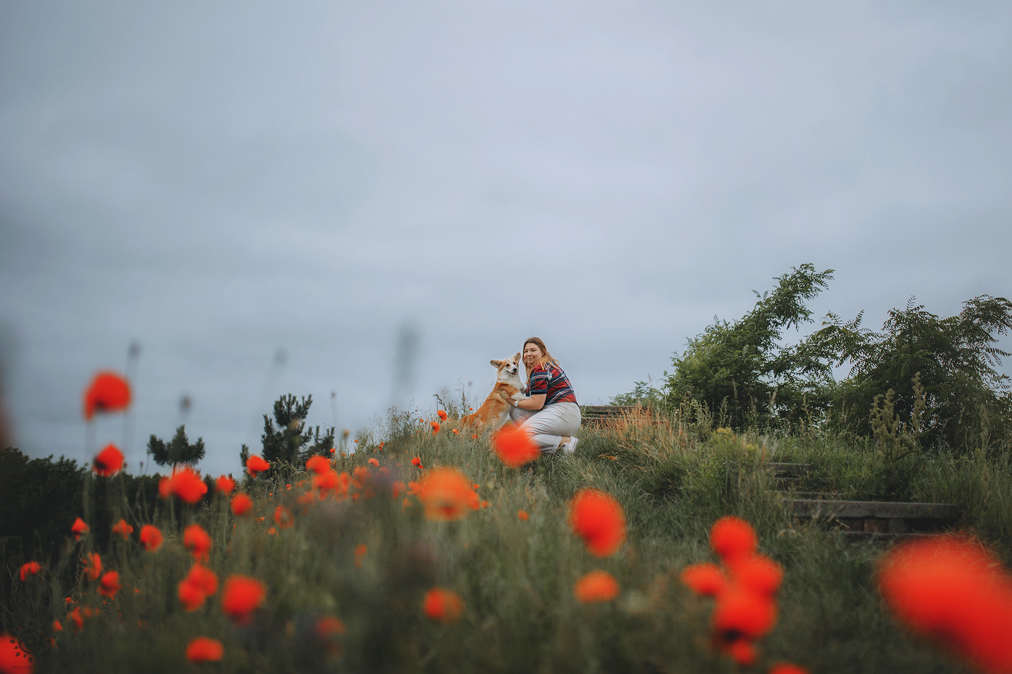 Родина Карамель. Фотограф-анімаліст Київ