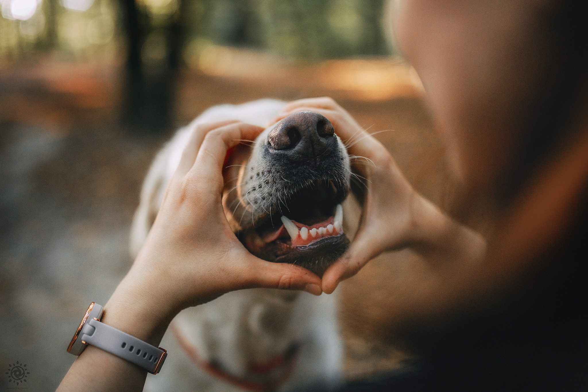 Родина Оззі. Фотограф-анімаліст Київ