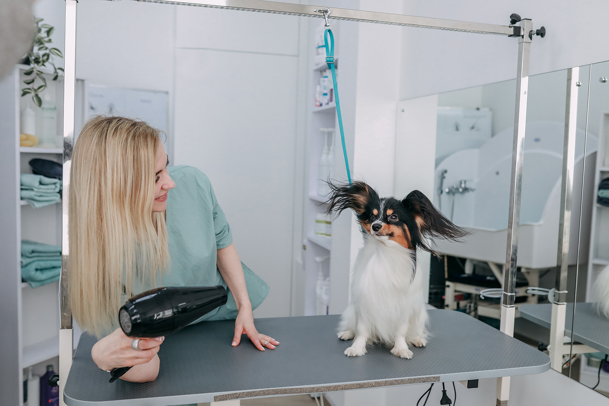 Hvist Hab. Фотограф-анімаліст Київ