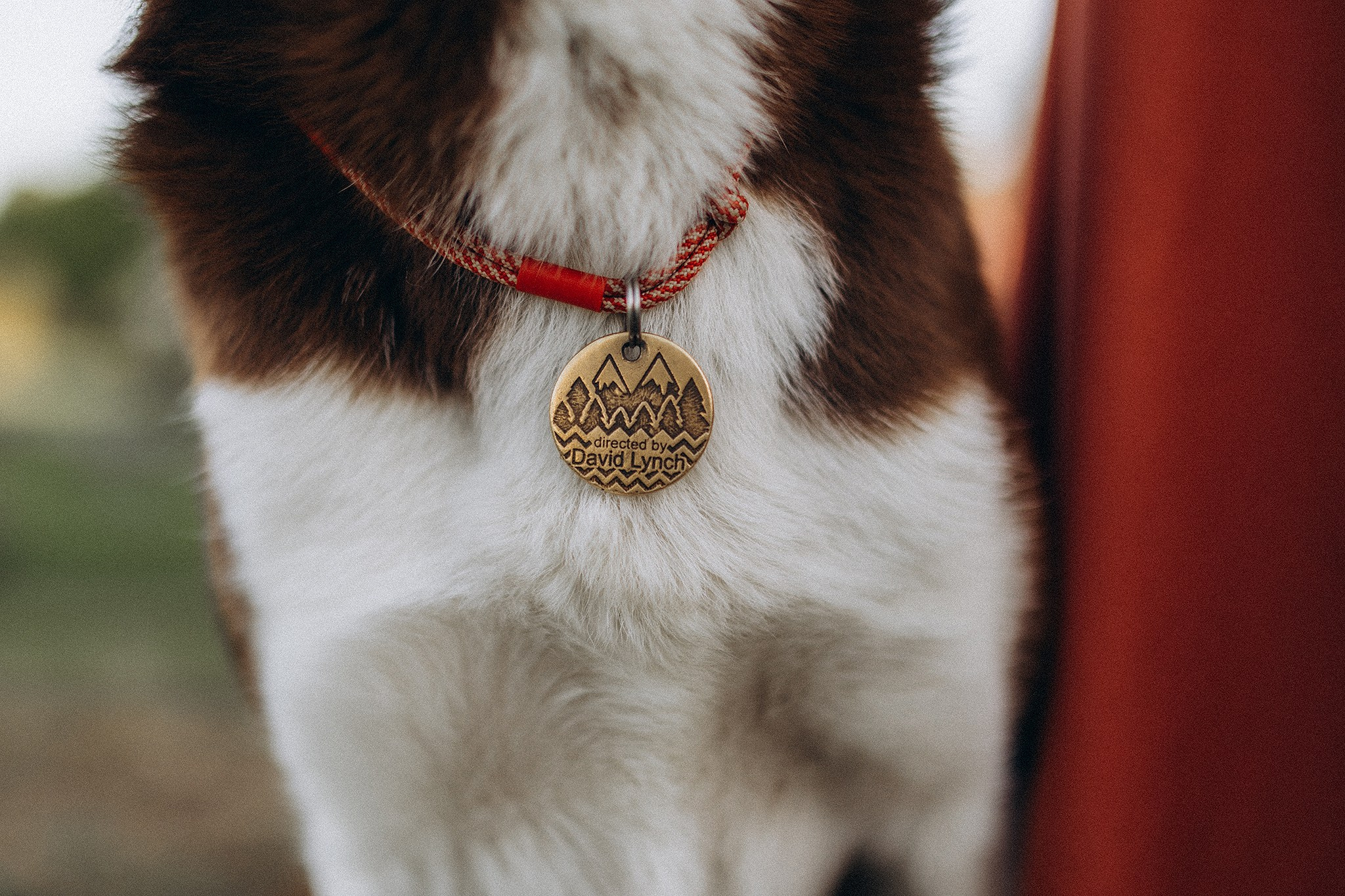 Лінч з Ма. Фотограф-анімаліст Київ