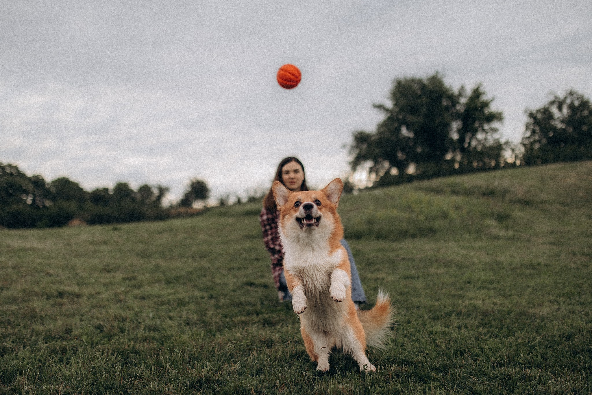 Руді та Ксюша. Фотограф-анімаліст Київ