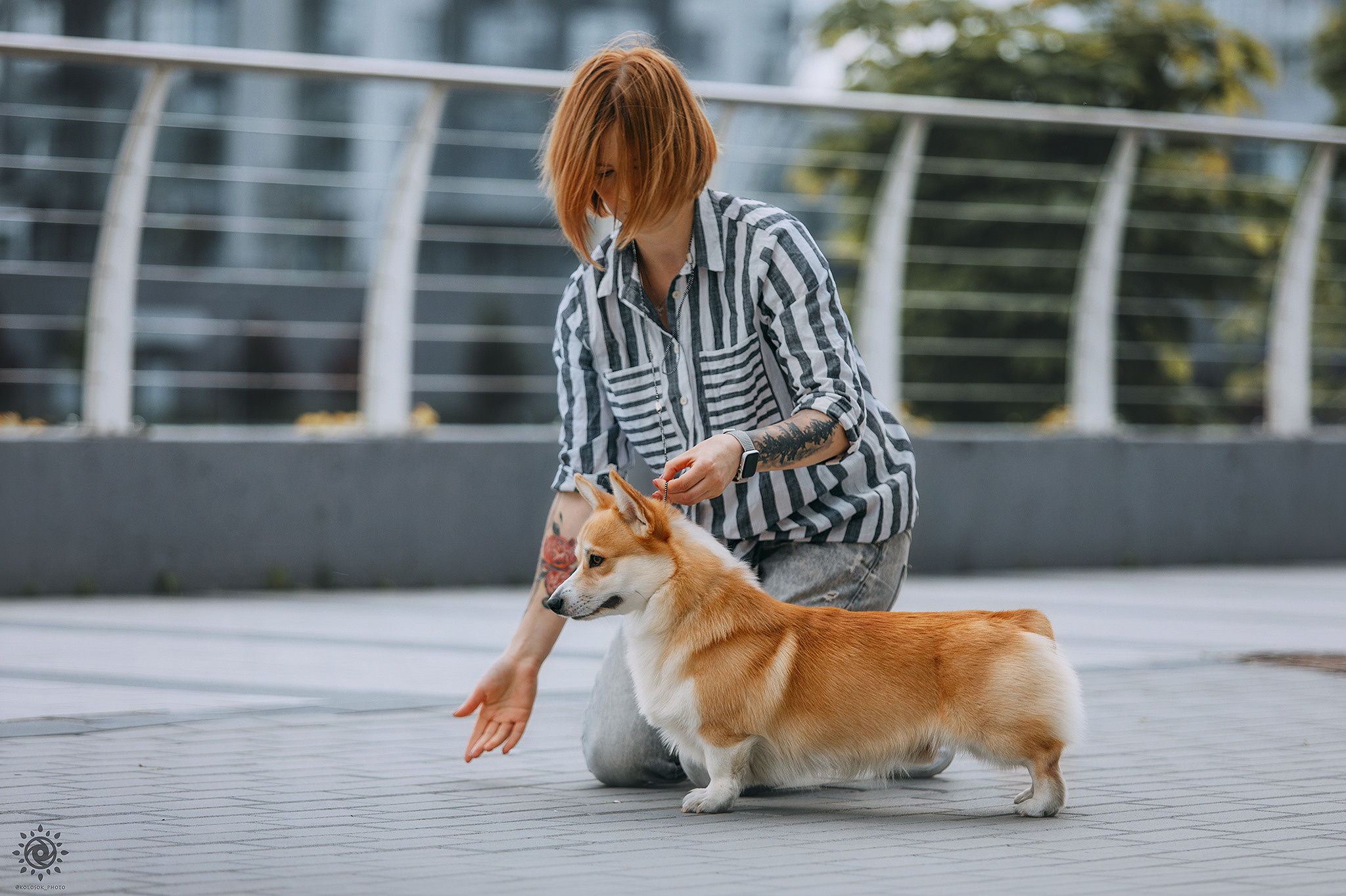 Вінні. Фотограф-анімаліст Київ