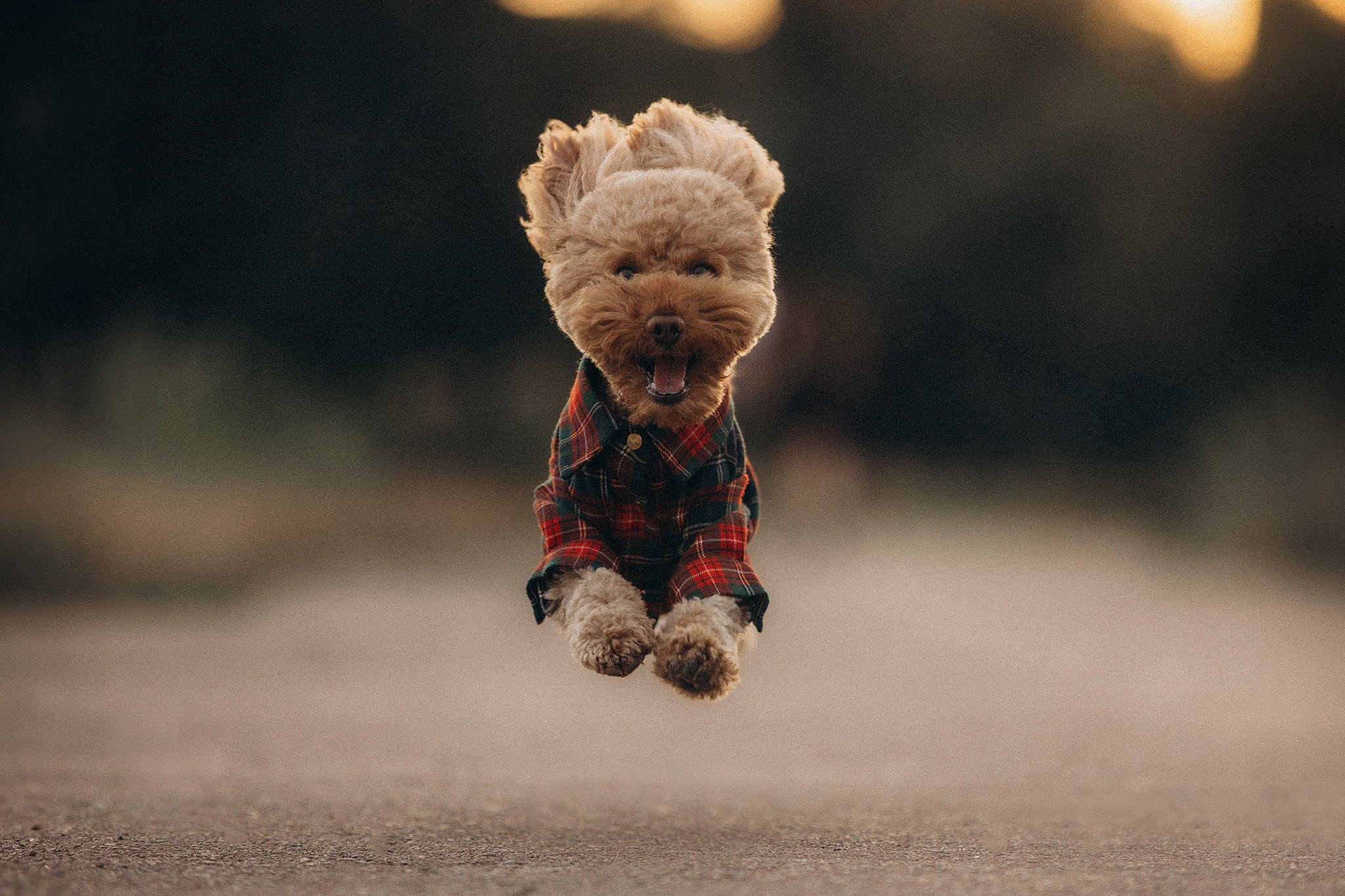 Бєня та Люда. Фотограф-анімаліст Київ