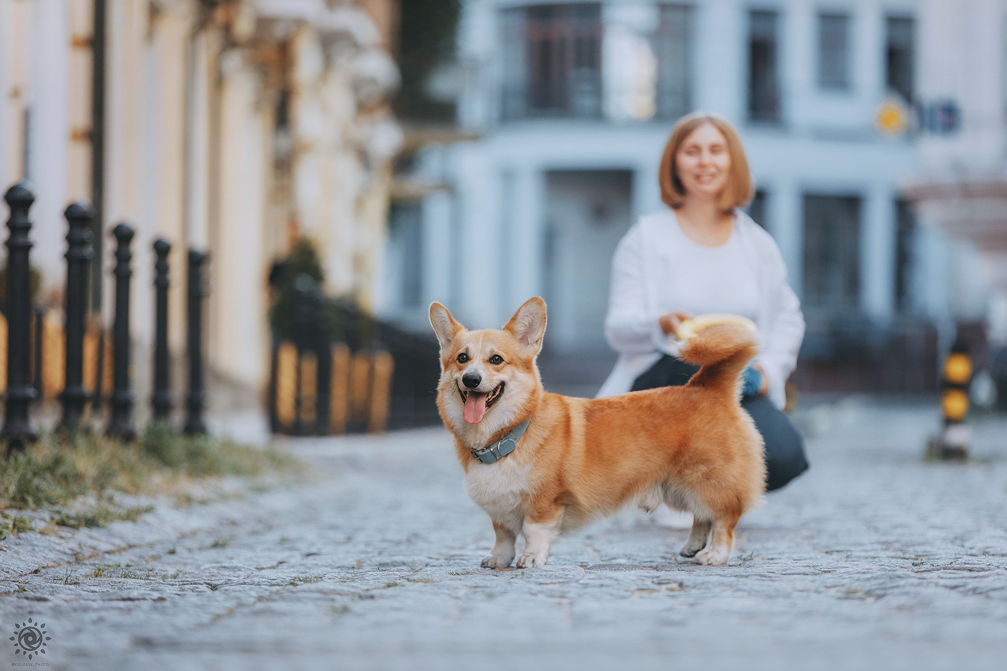 Родина Шерлока. Фотограф-анімаліст Київ