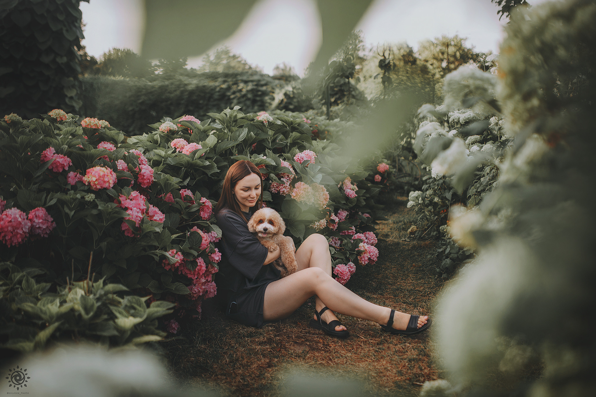 Родина Тедді. Фотограф-анімаліст Київ