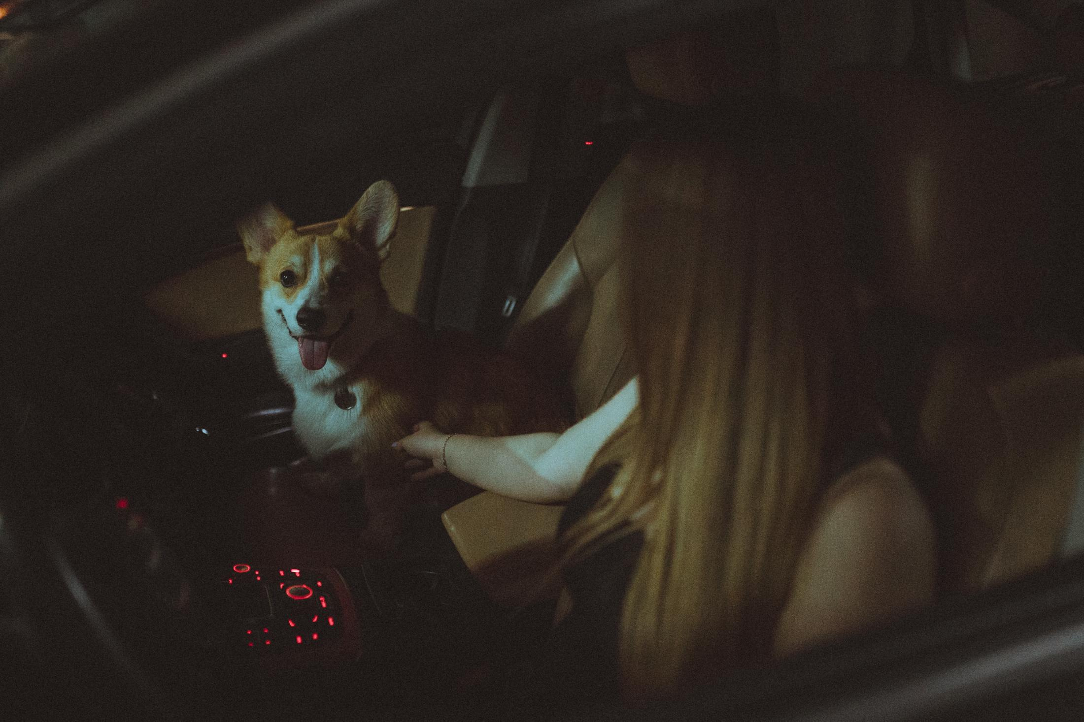 Родина Оскара. Фотограф-анімаліст Київ