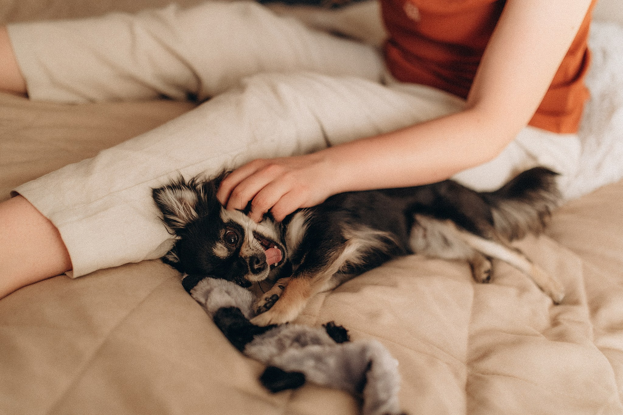 Теса і Кімі з Ма. Фотограф-анімаліст Київ