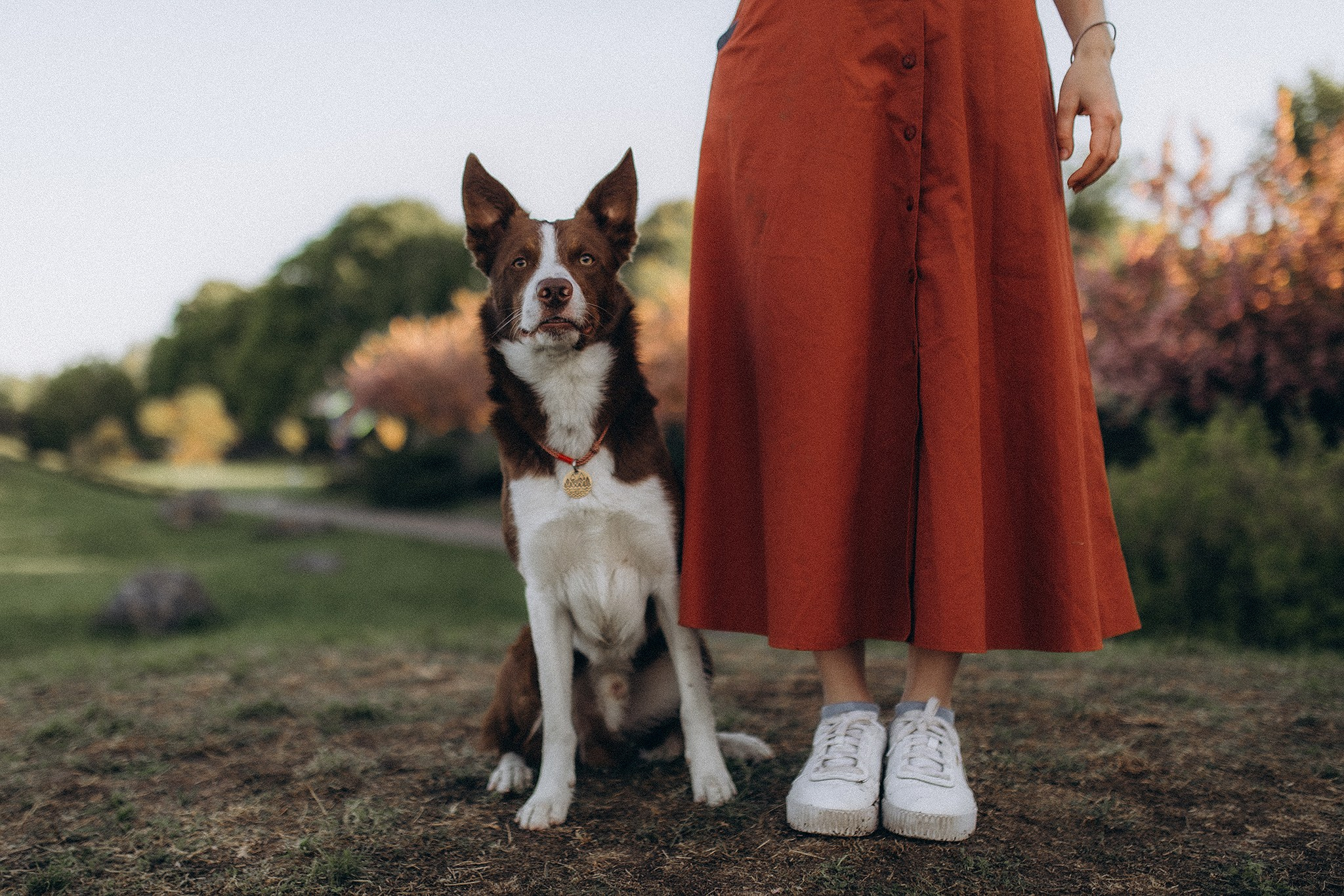 Лінч з Ма. Фотограф-анімаліст Київ