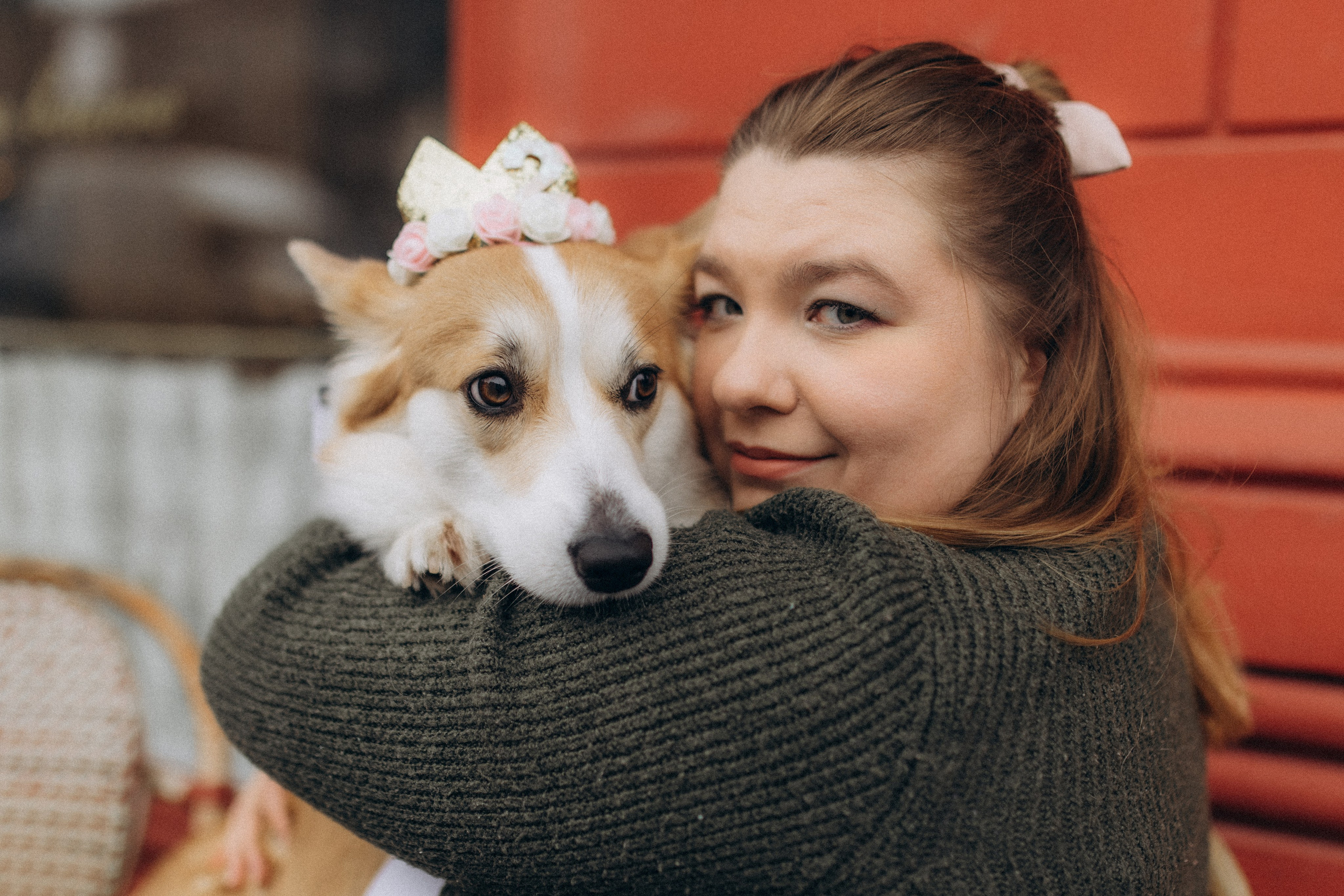 Карамелі 2 роки. Фотограф-анімаліст Київ