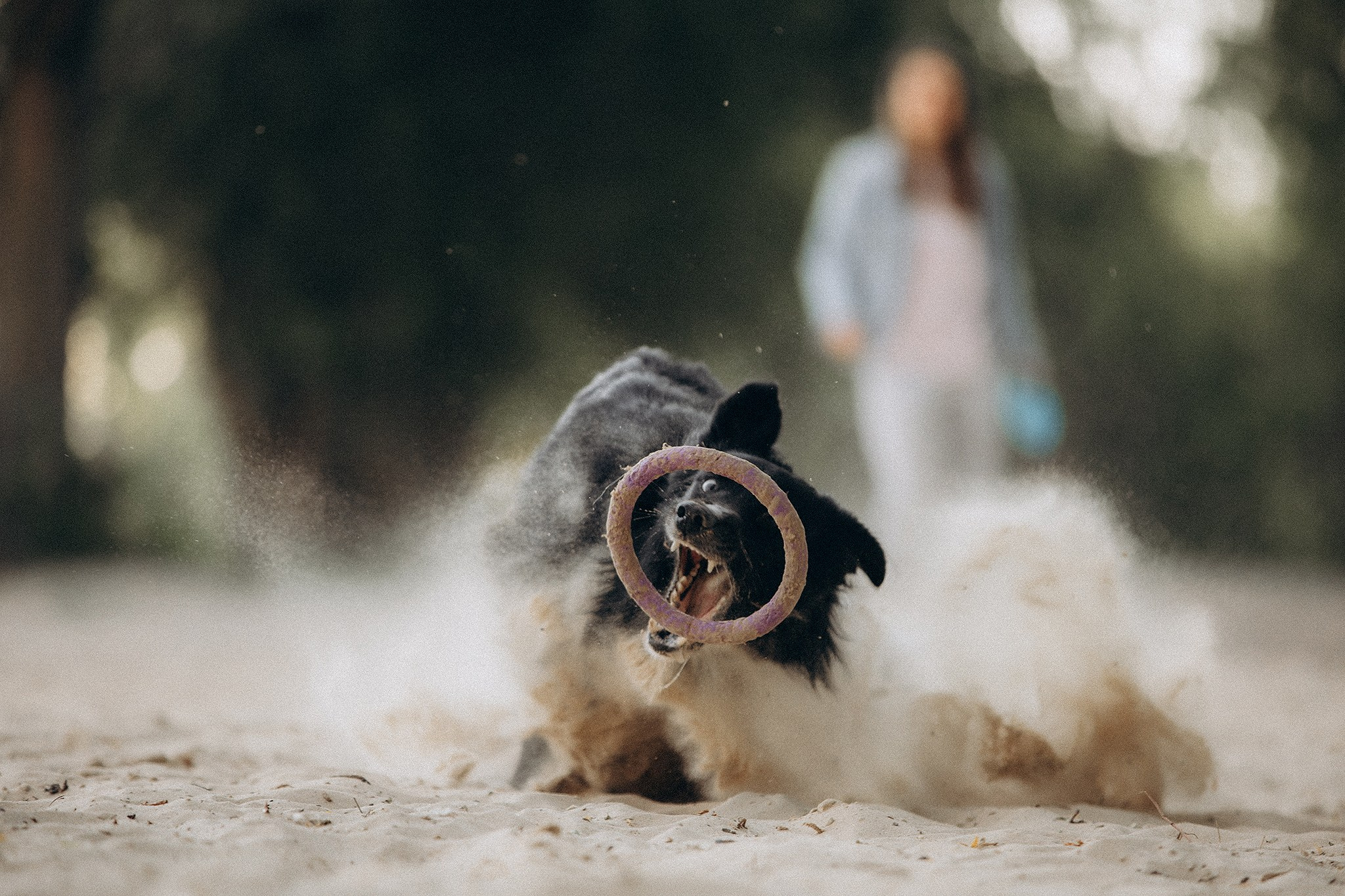 Інна та Макс з хлопцями. Фотограф-анімаліст Київ