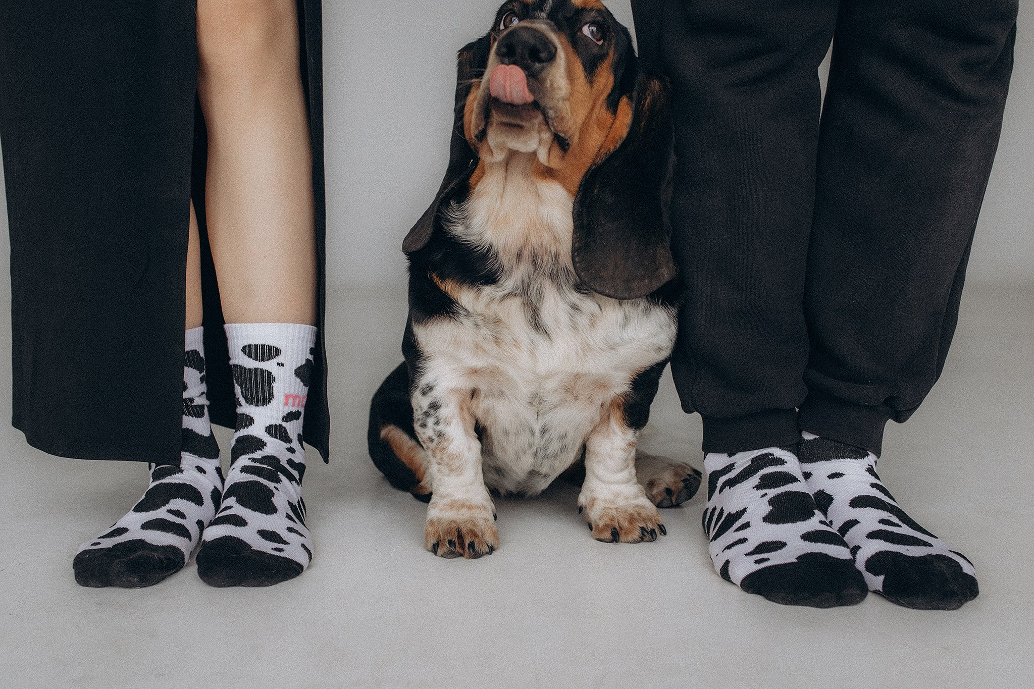 Родина Ромі. Фотограф-анімаліст Київ