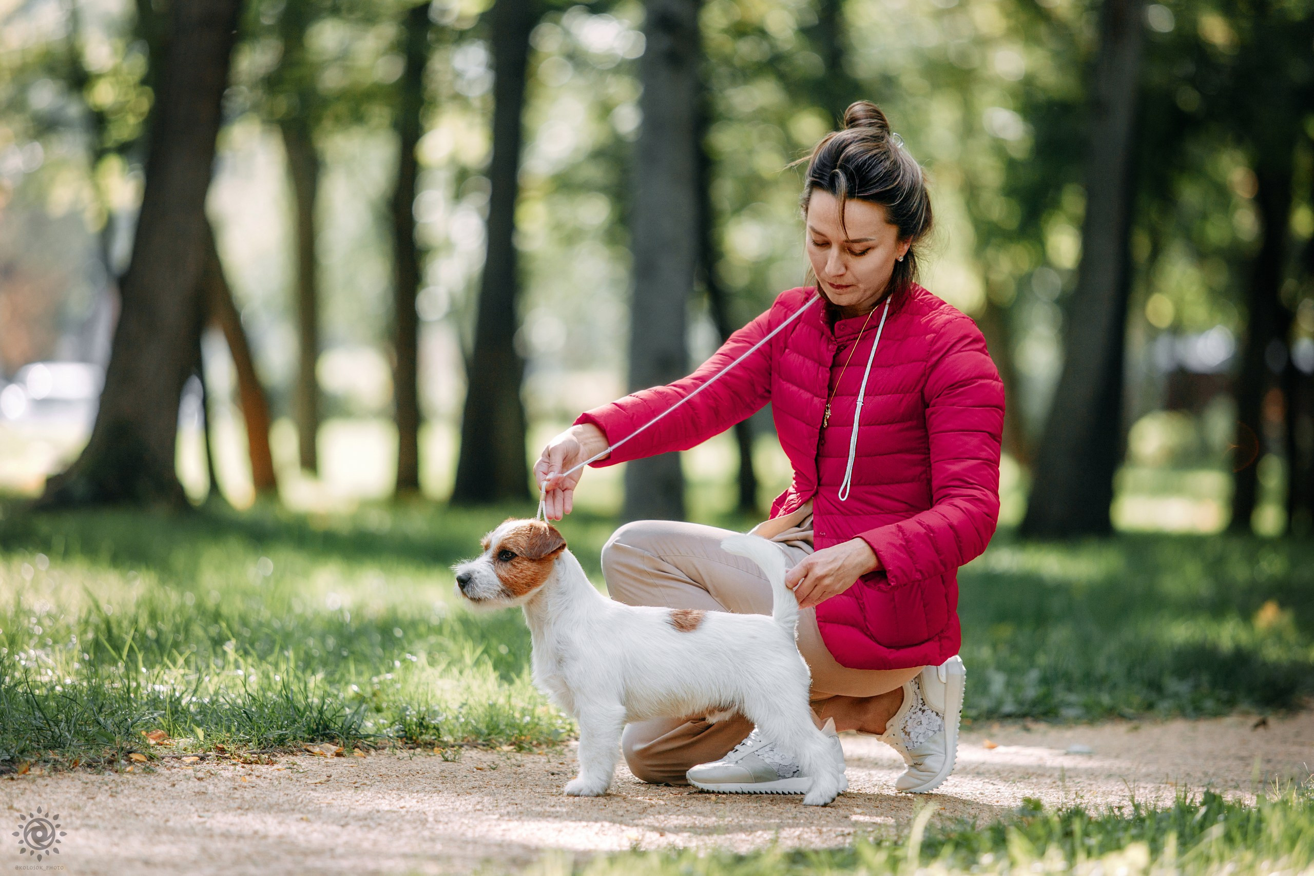 Тіт. Фотограф-анімаліст Київ