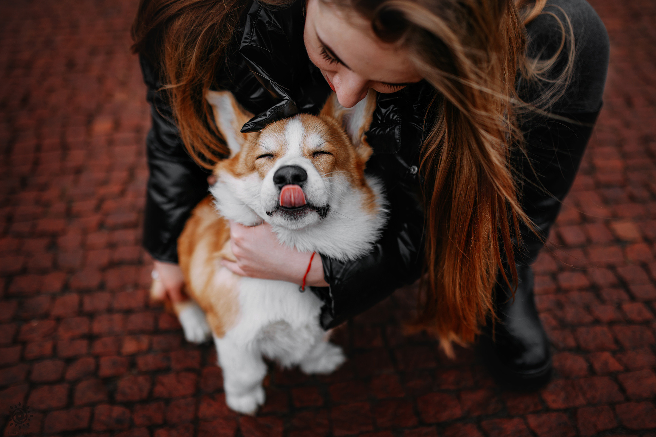 Родина Оскара. Фотограф-анімаліст Київ