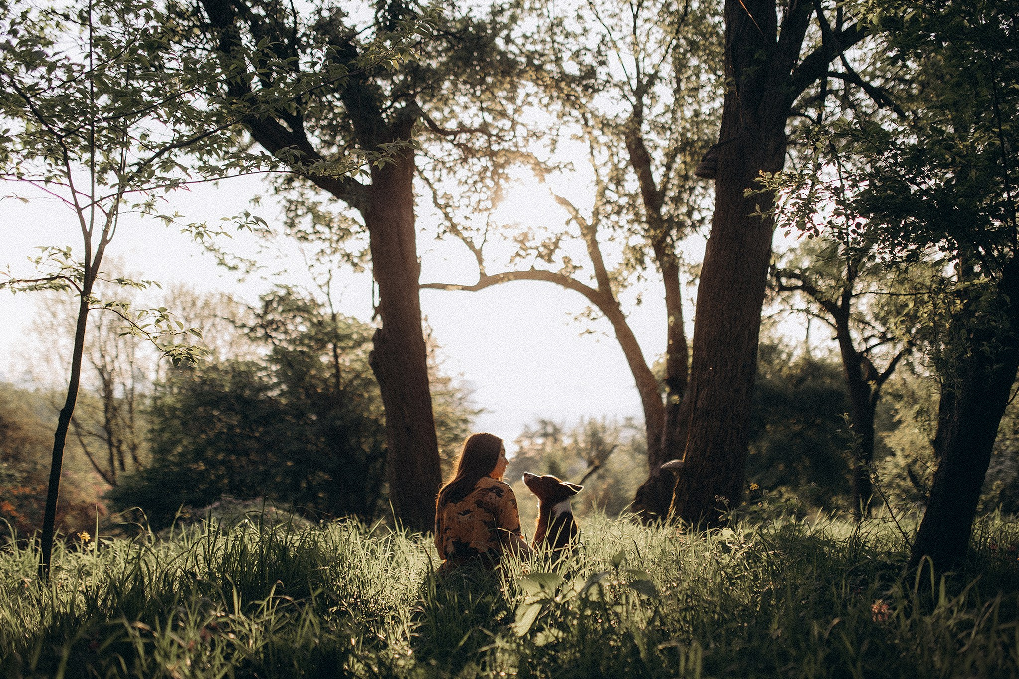 Лінч з Ма. Фотограф-анімаліст Київ