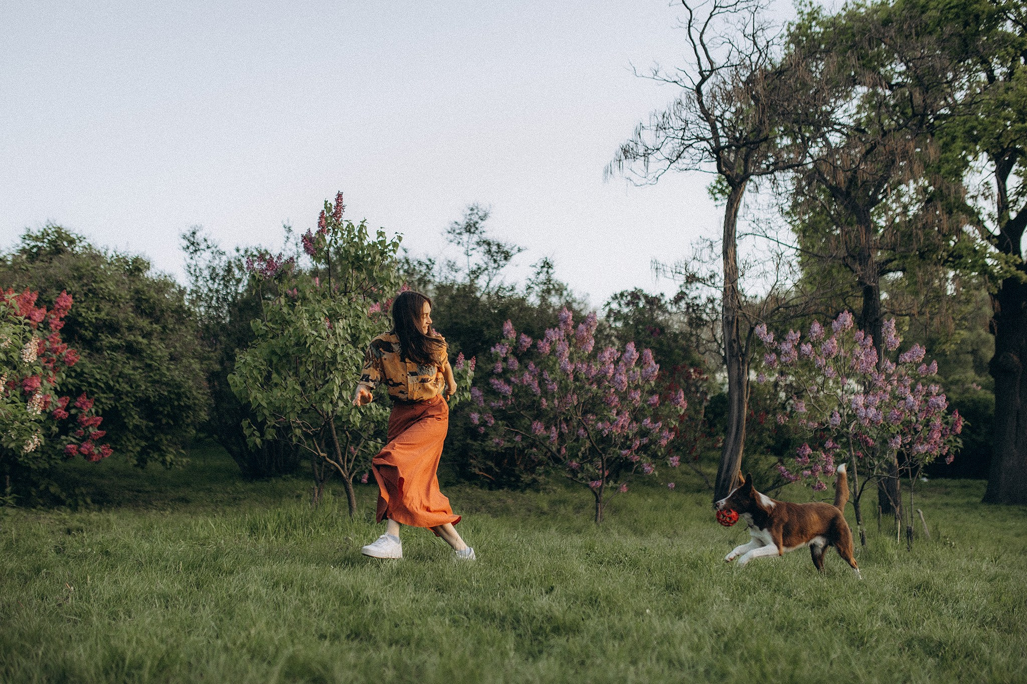 Лінч з Ма. Фотограф-анімаліст Київ