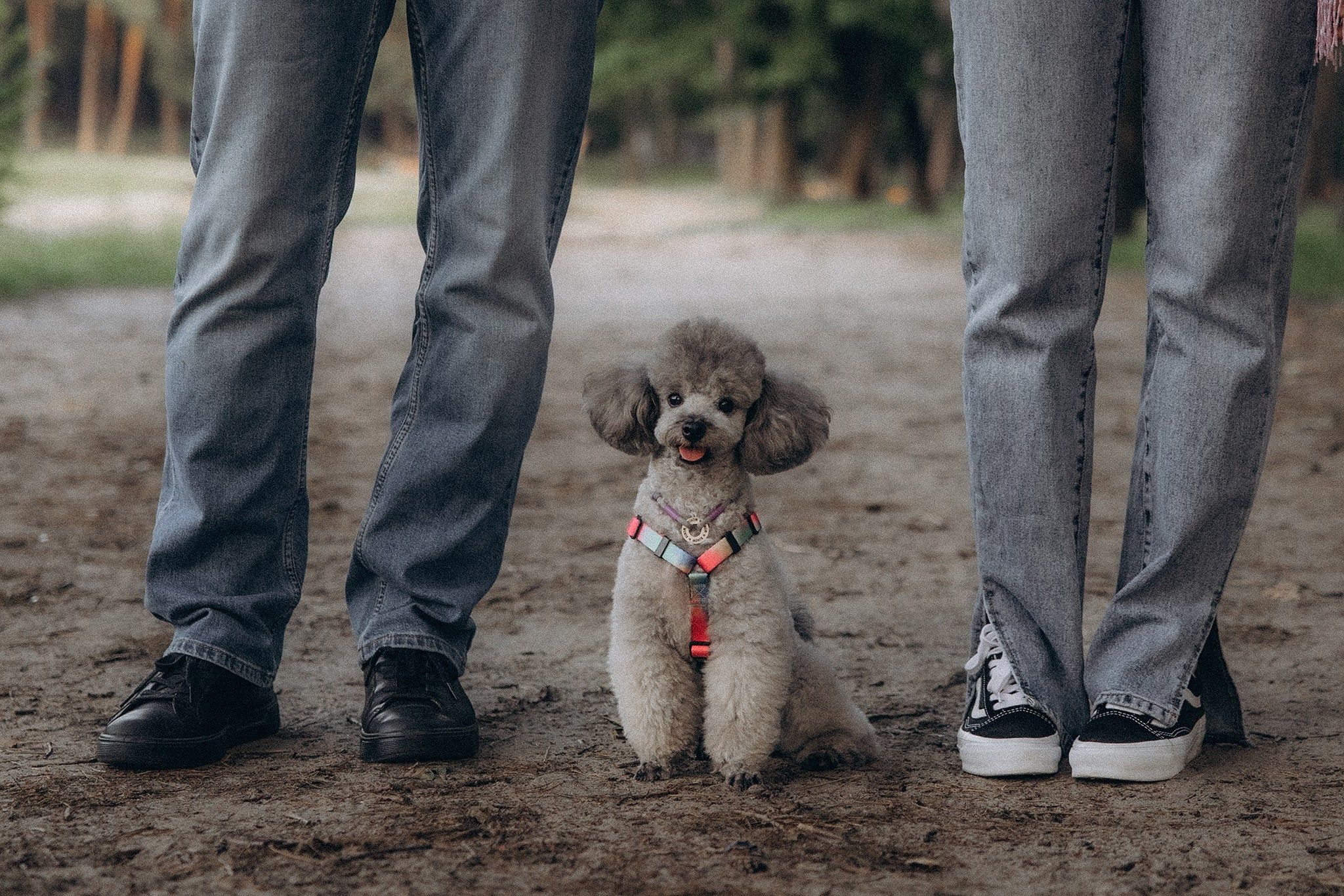 Родина Моніка. Фотограф-анімаліст Київ