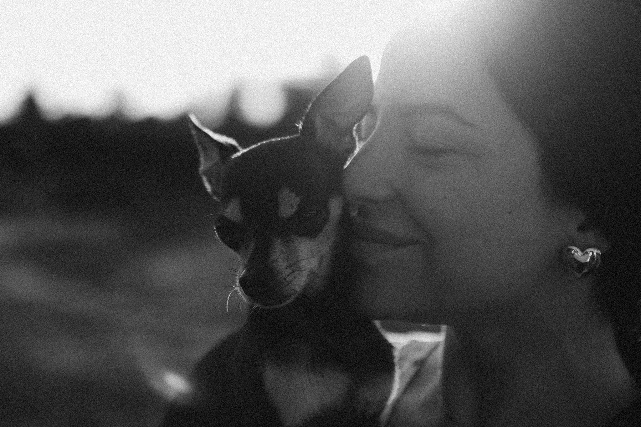 Чівас і Таня. Фотограф-анімаліст Київ