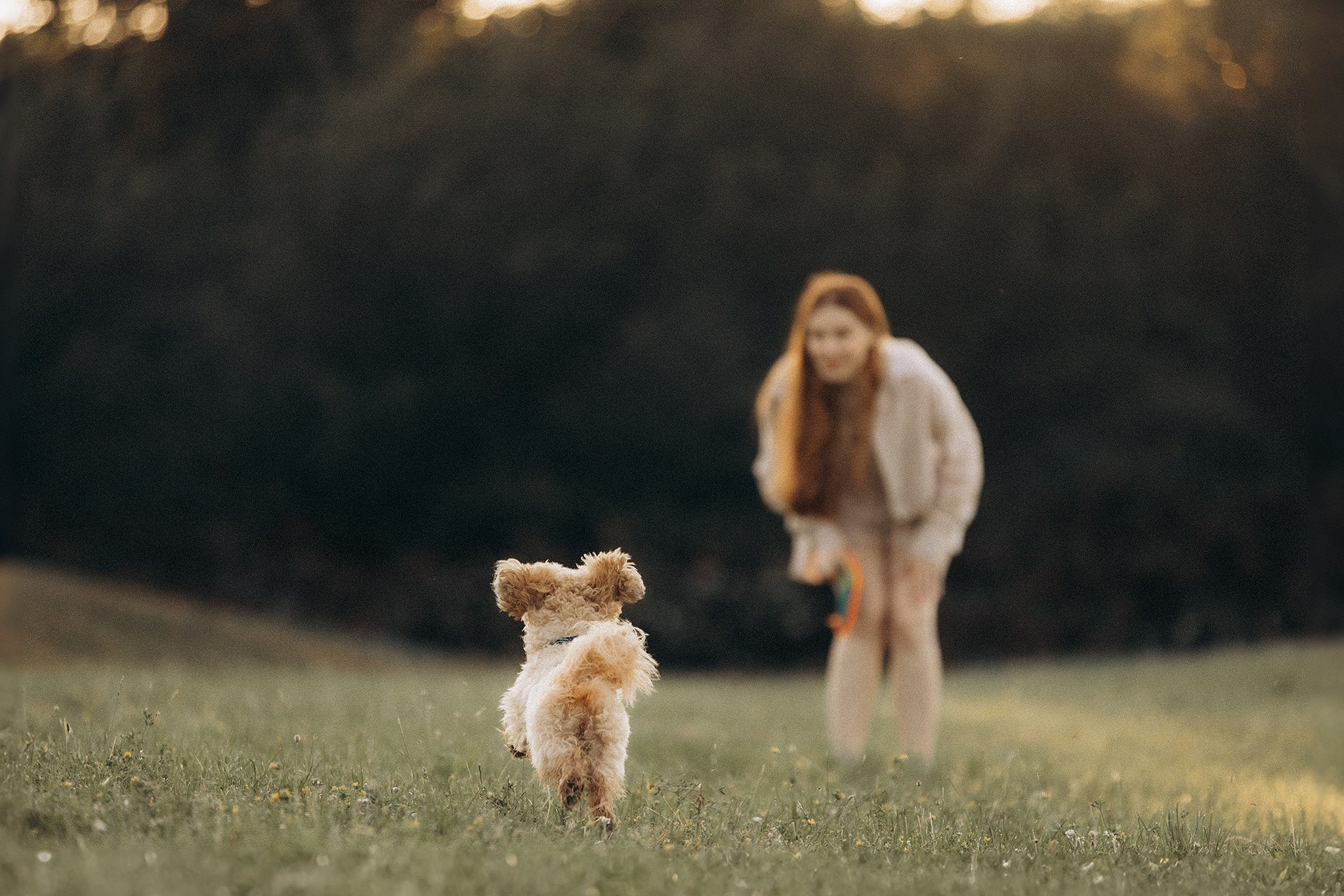 Сем та його родина. Фотограф-анімаліст Київ