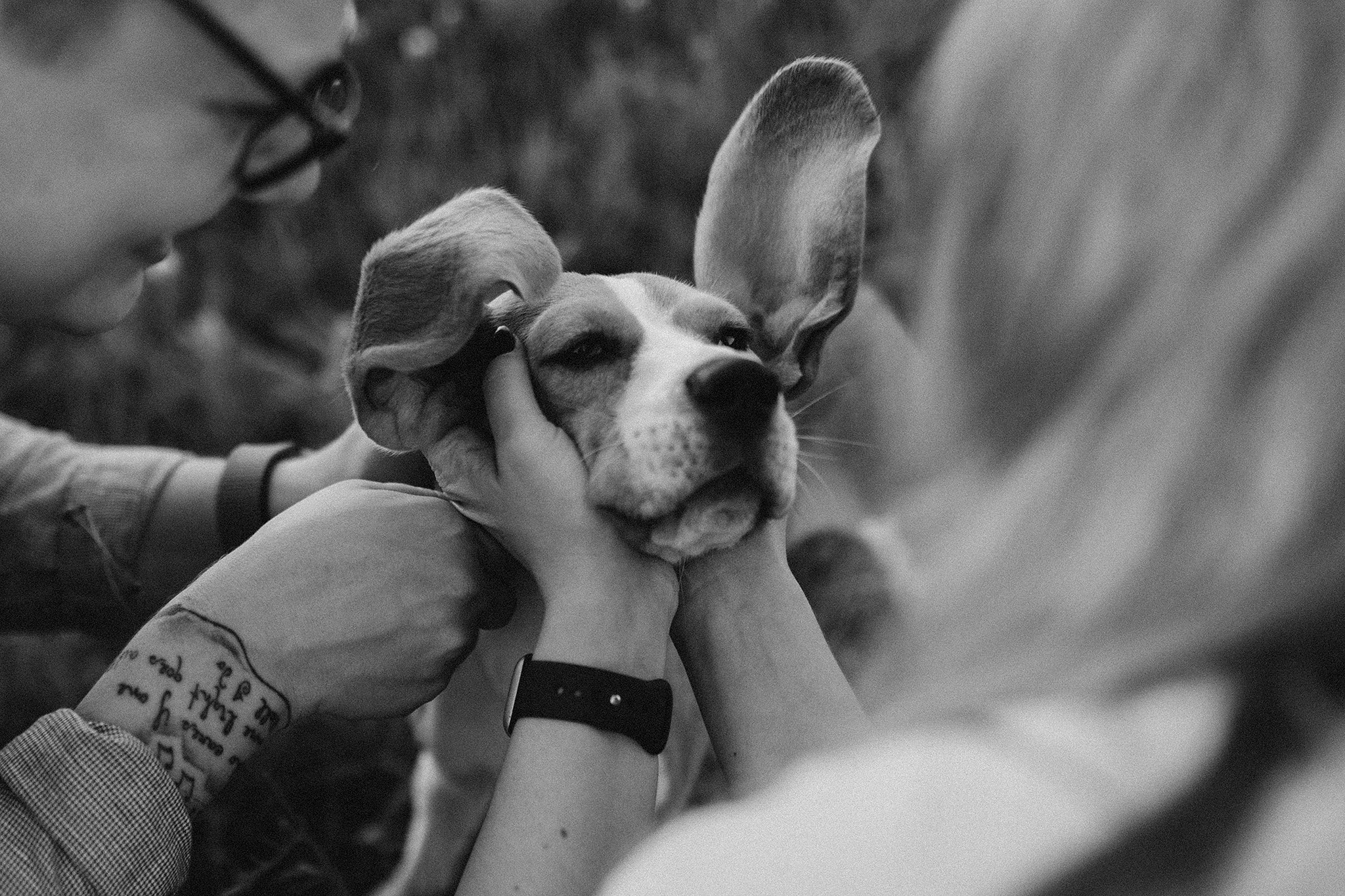 Родина Рей. Фотограф-анімаліст Київ