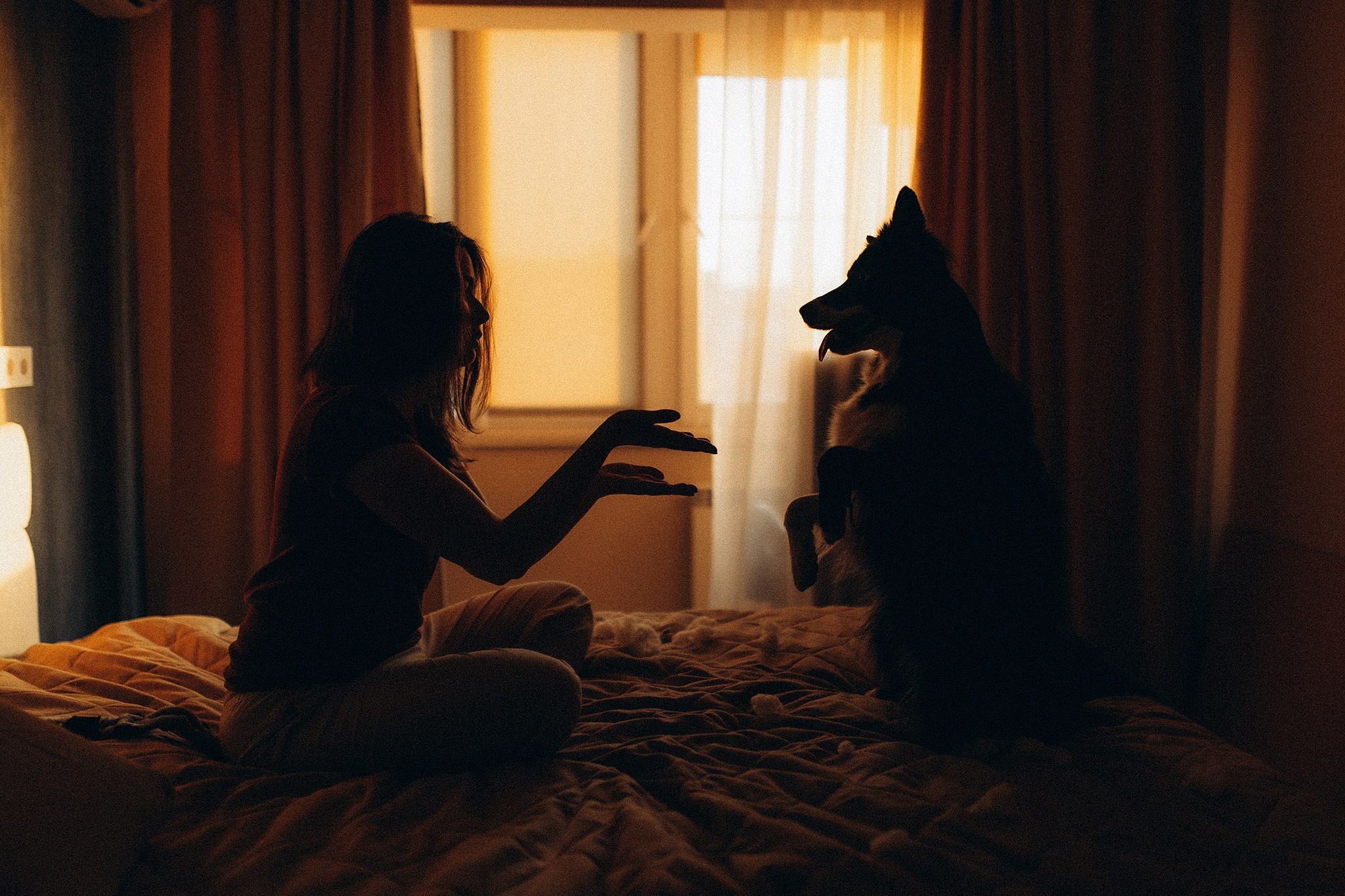 Теса і Кімі з Ма. Фотограф-анімаліст Київ