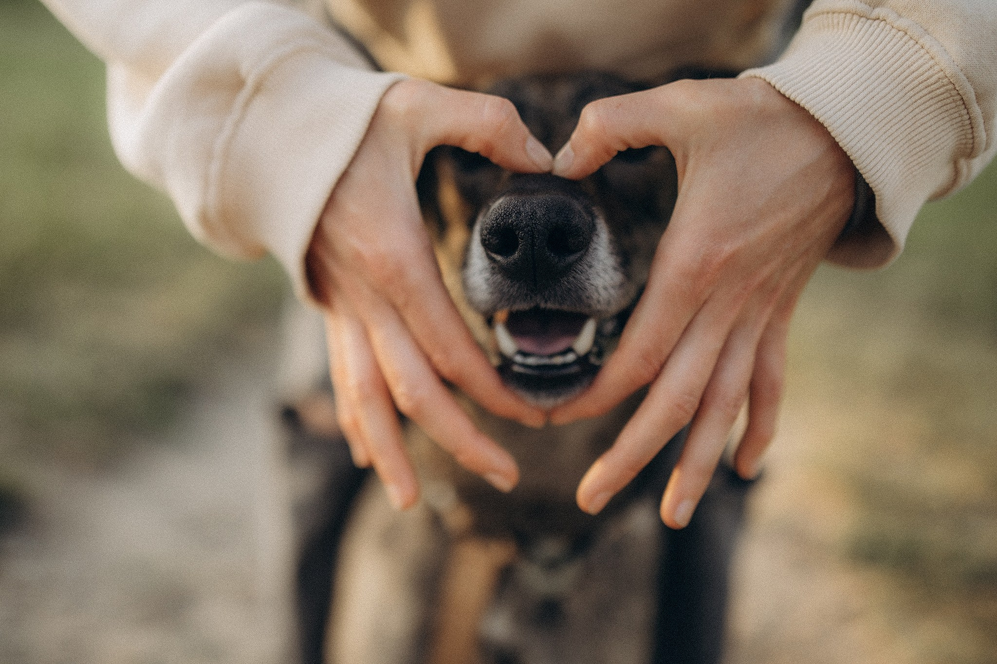 Фінік та Еля. Фотограф-анімаліст Київ